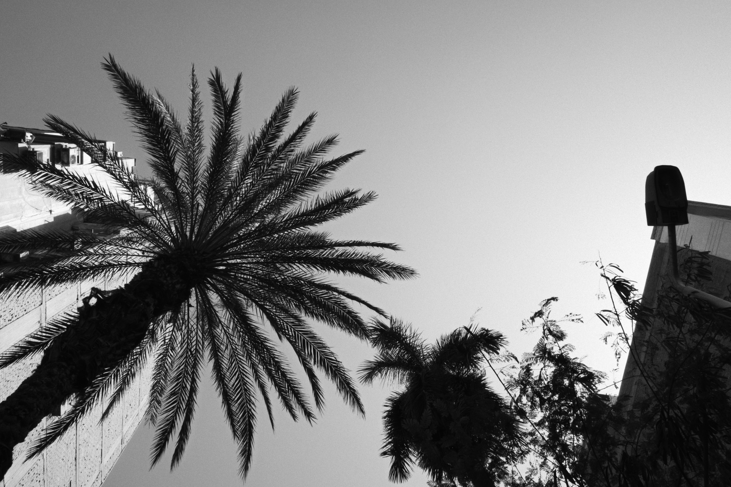 Cairo / Egypt AW25. Фотограф Юрин Евгений