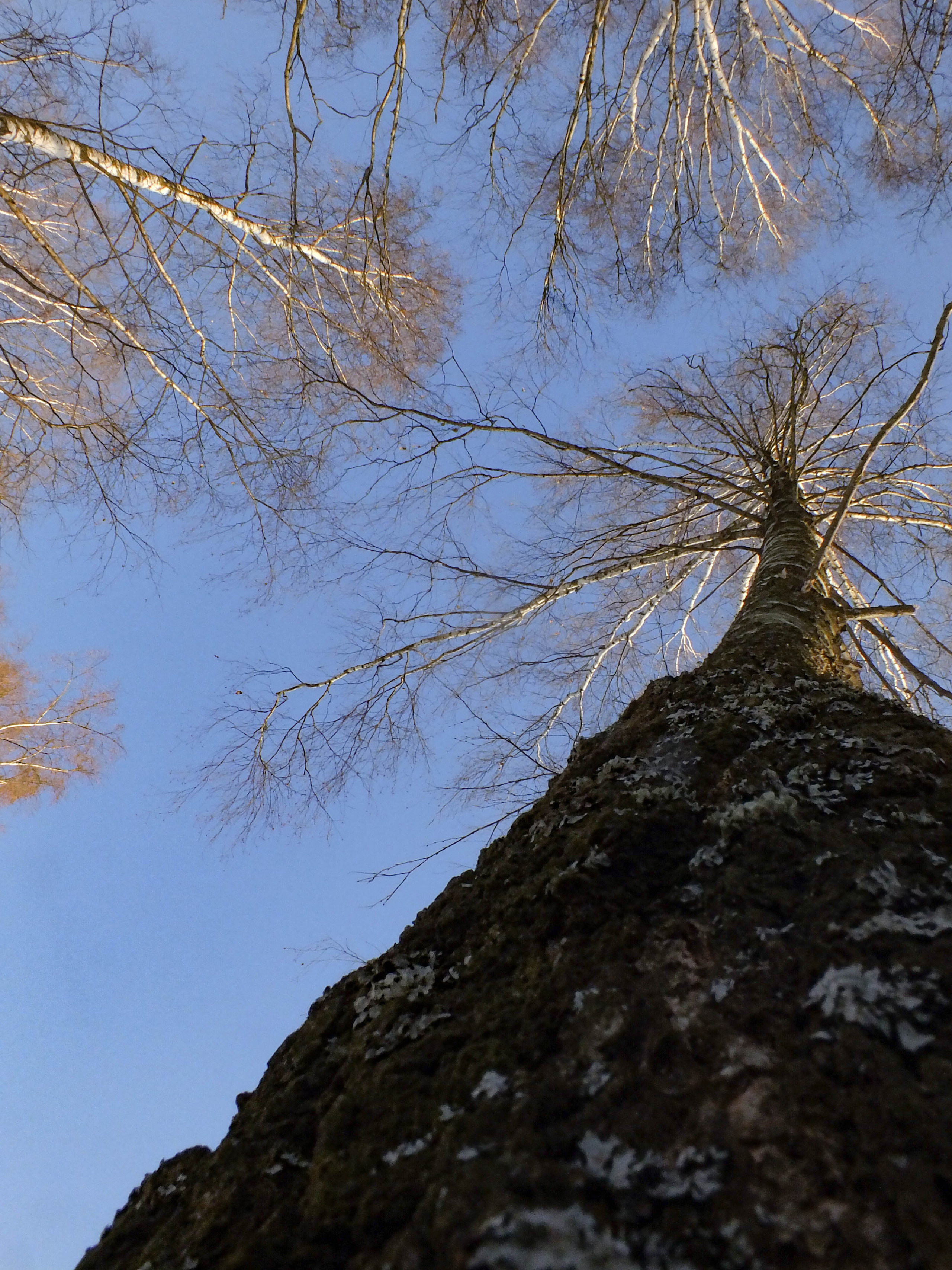 Услуги. Сергей Рыбин Фотограф в Кинешме Детский, Портретный, Свадебный…