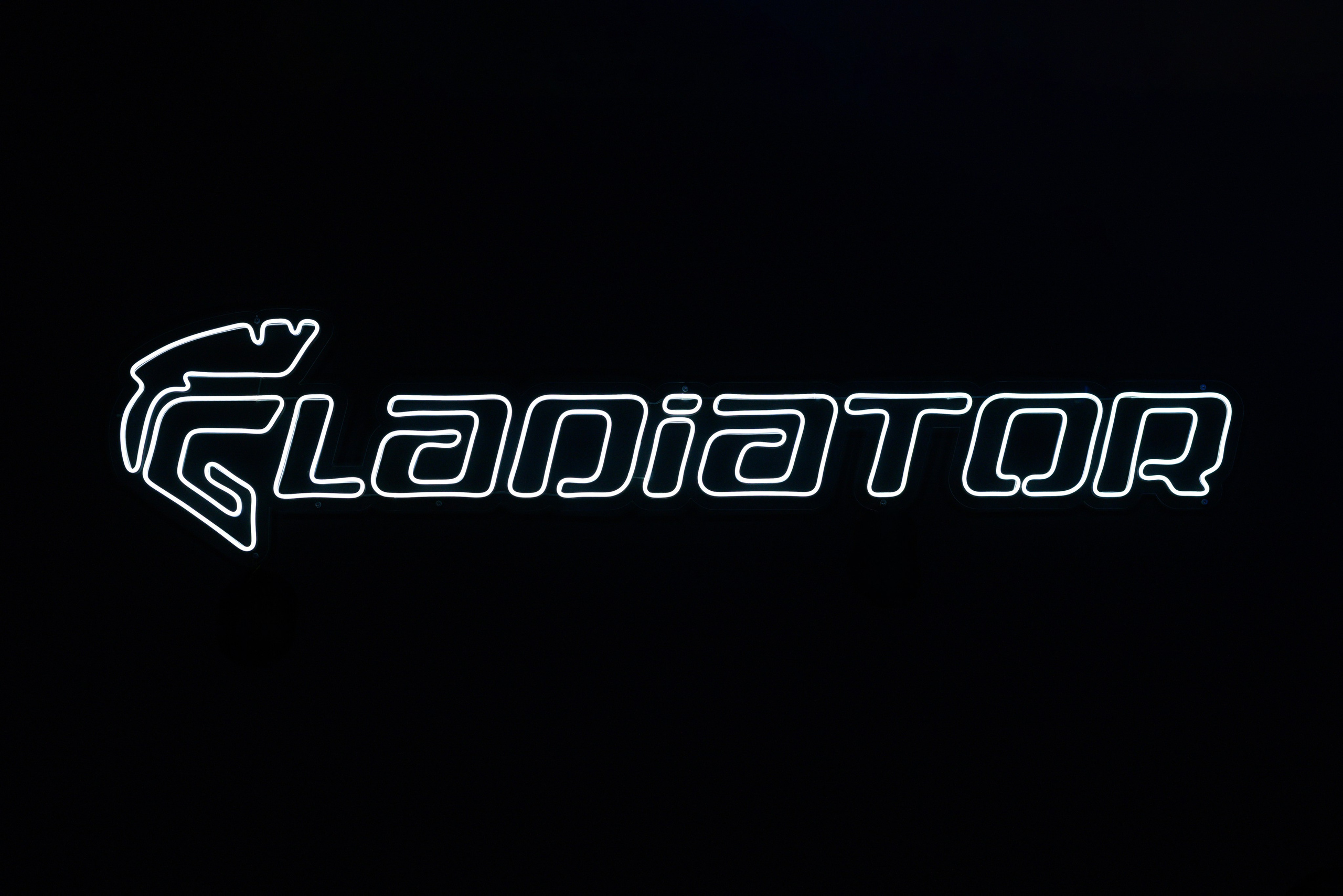 Лазертаг Гладиатор. Фотограф Алексей Шрайбик