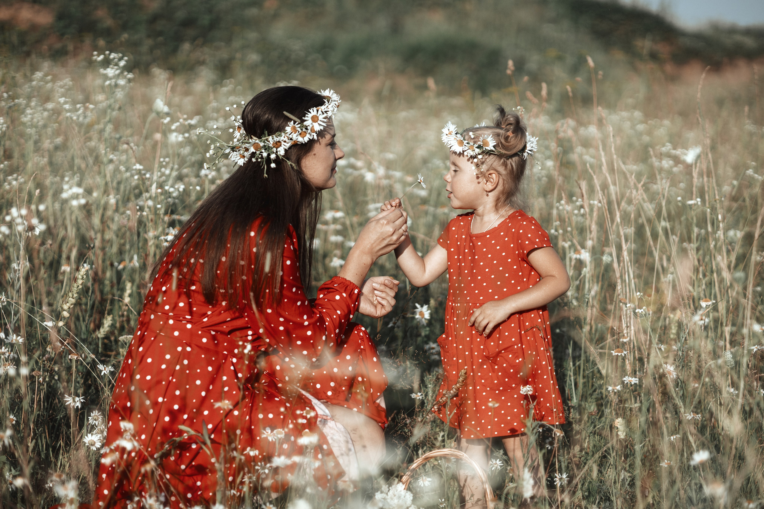 Мама и дочка в ромашковом поле. Фотограф в Москве Мухина Ирина