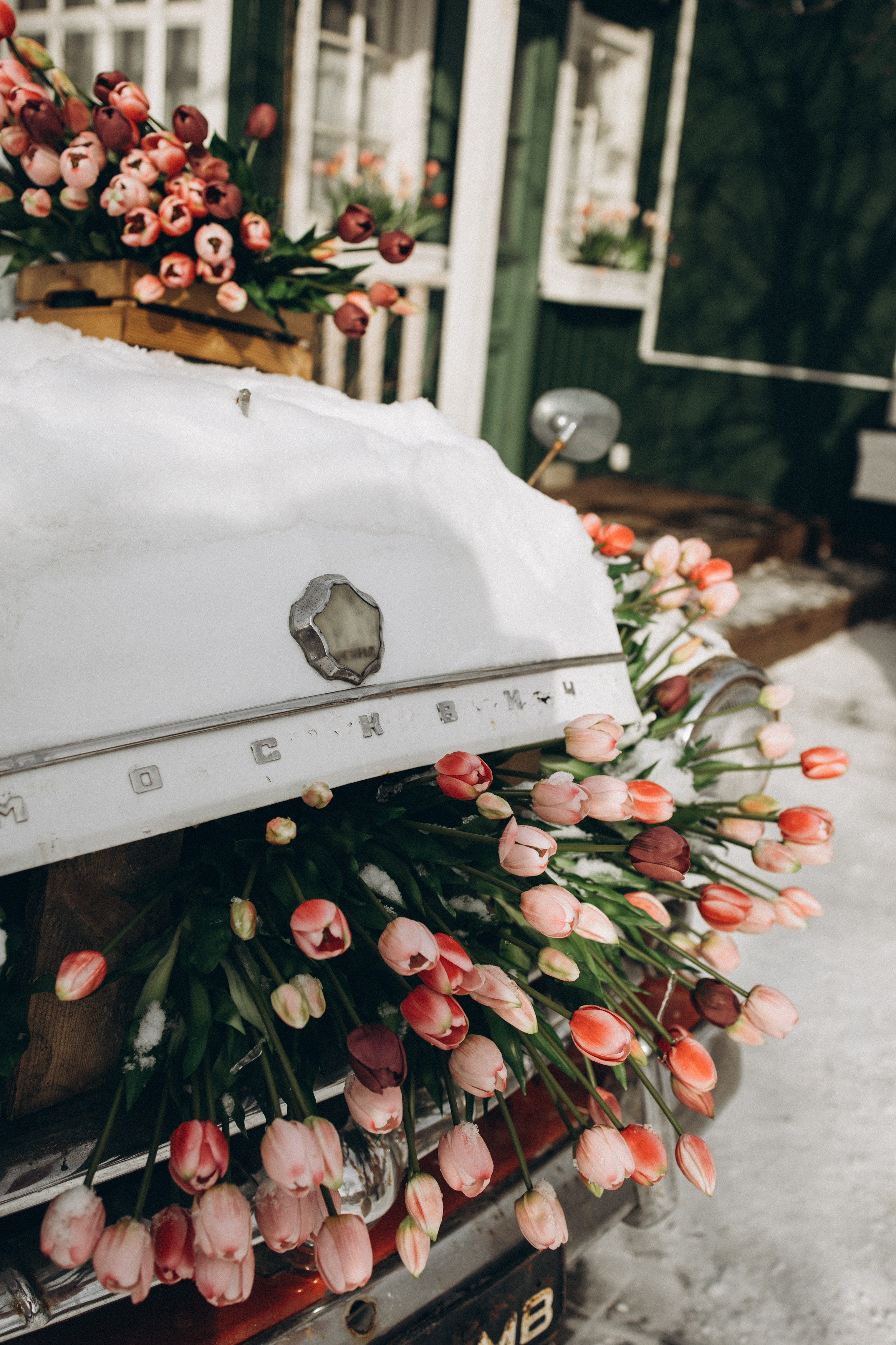 Один прекрасный день. Семейный, ньюборн newborn фотограф, фотограф новорождённых в Санкт-Петербурге, Пушкине, Павловске. Павлова Анастасия