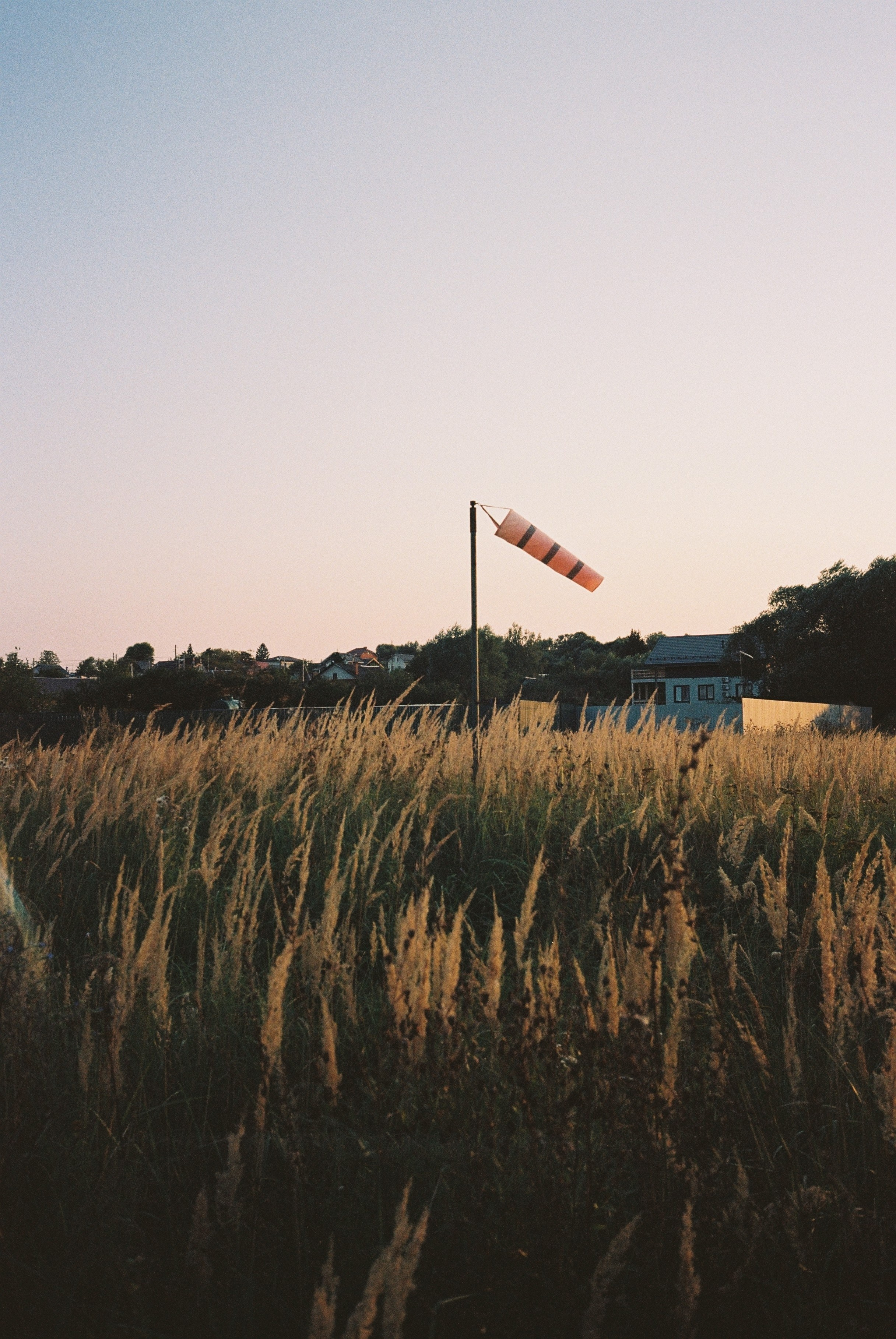 35мм. Katyavasileva