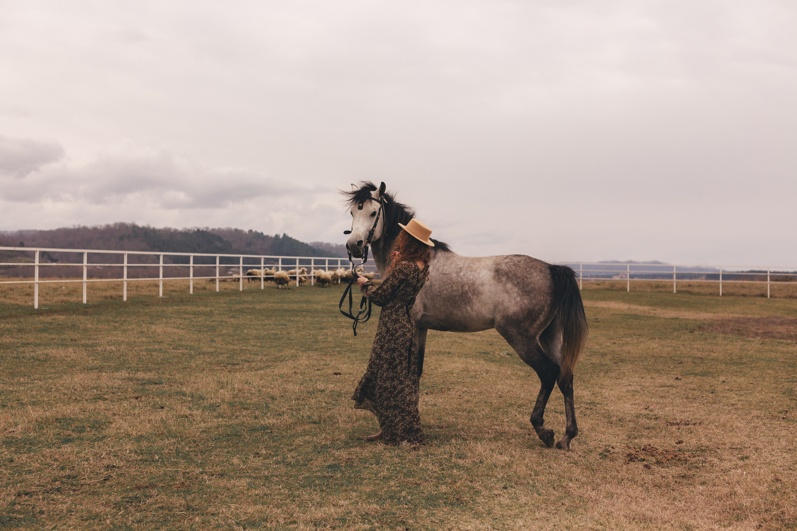 Фотосессия с лошадью. Семейный и художественный фотограф в Тюмени Юлия Логинова