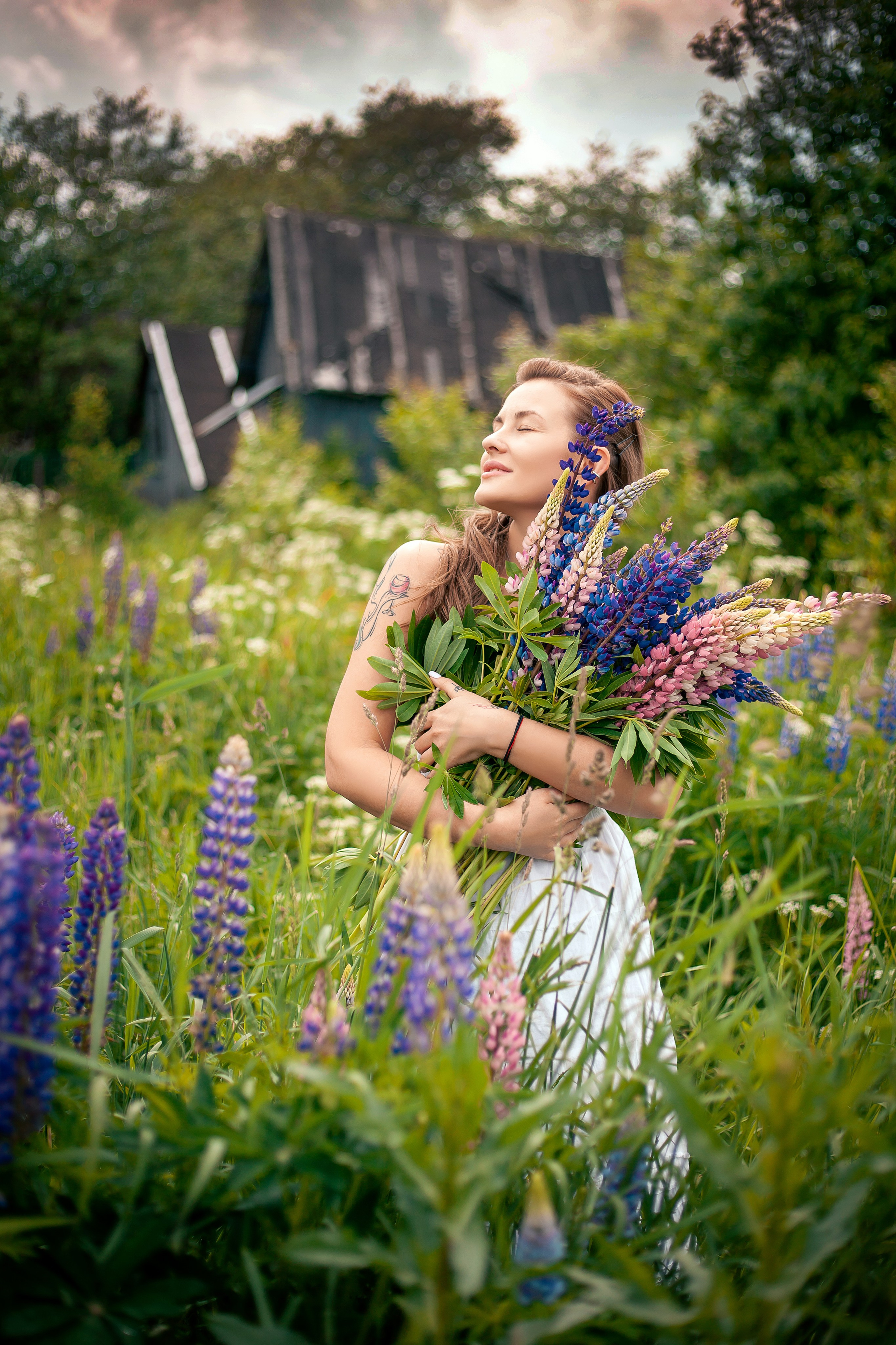 Люпины. Фотограф Мария Кольцова
