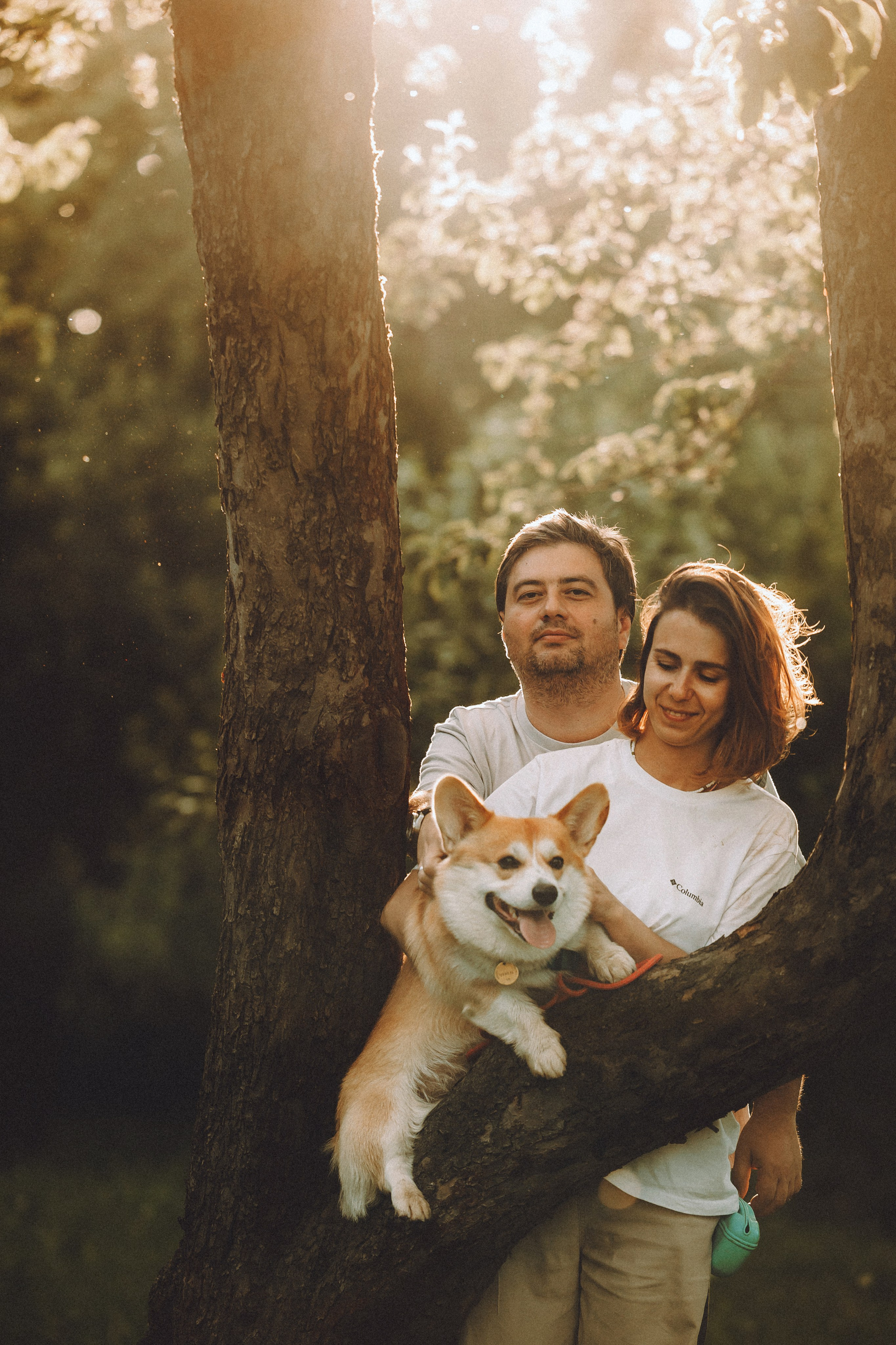 Вирджик и его семья