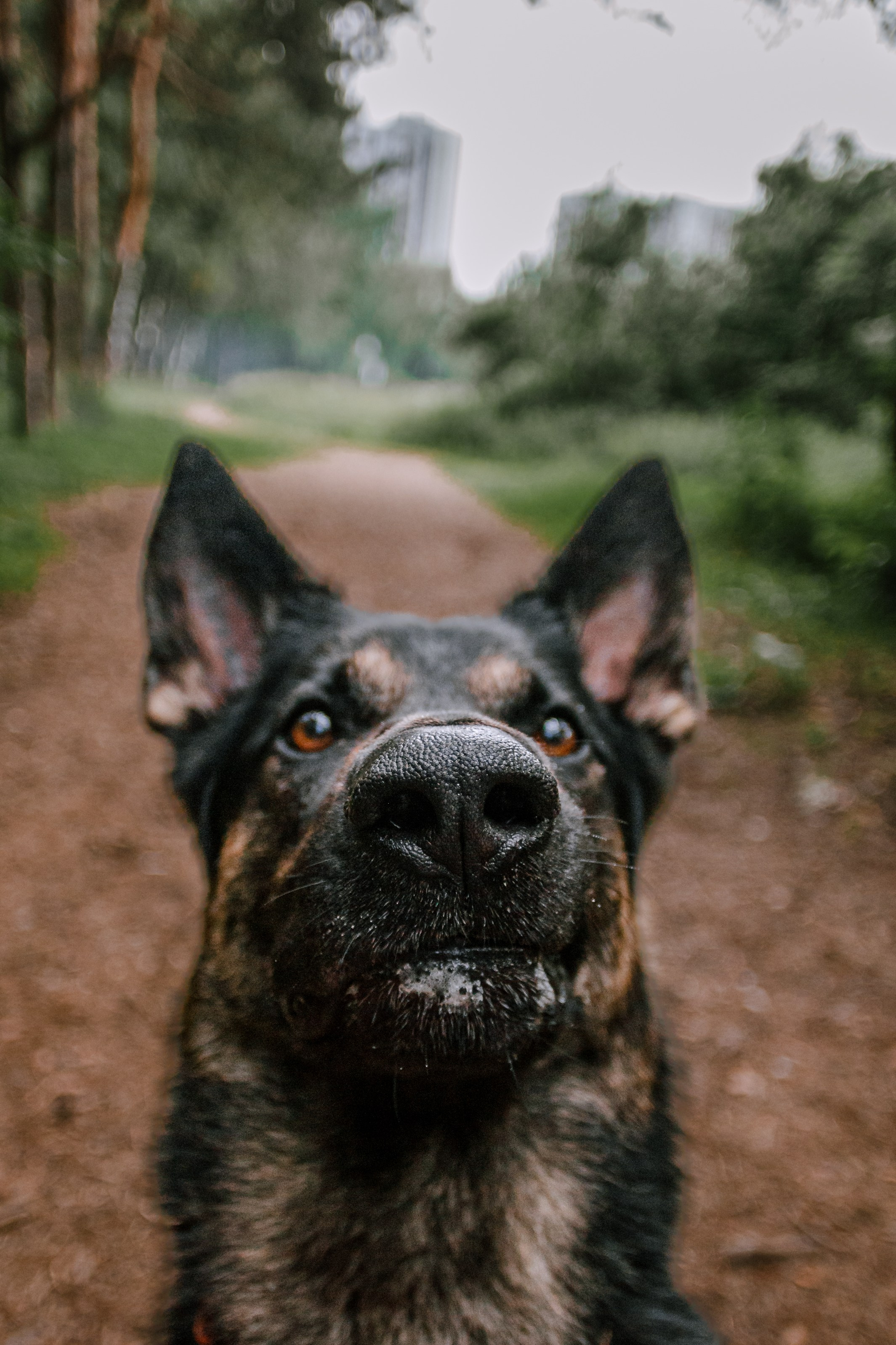 Лесная летняя фотопрогулка. Фотограф-анималист Татьяна Степанова