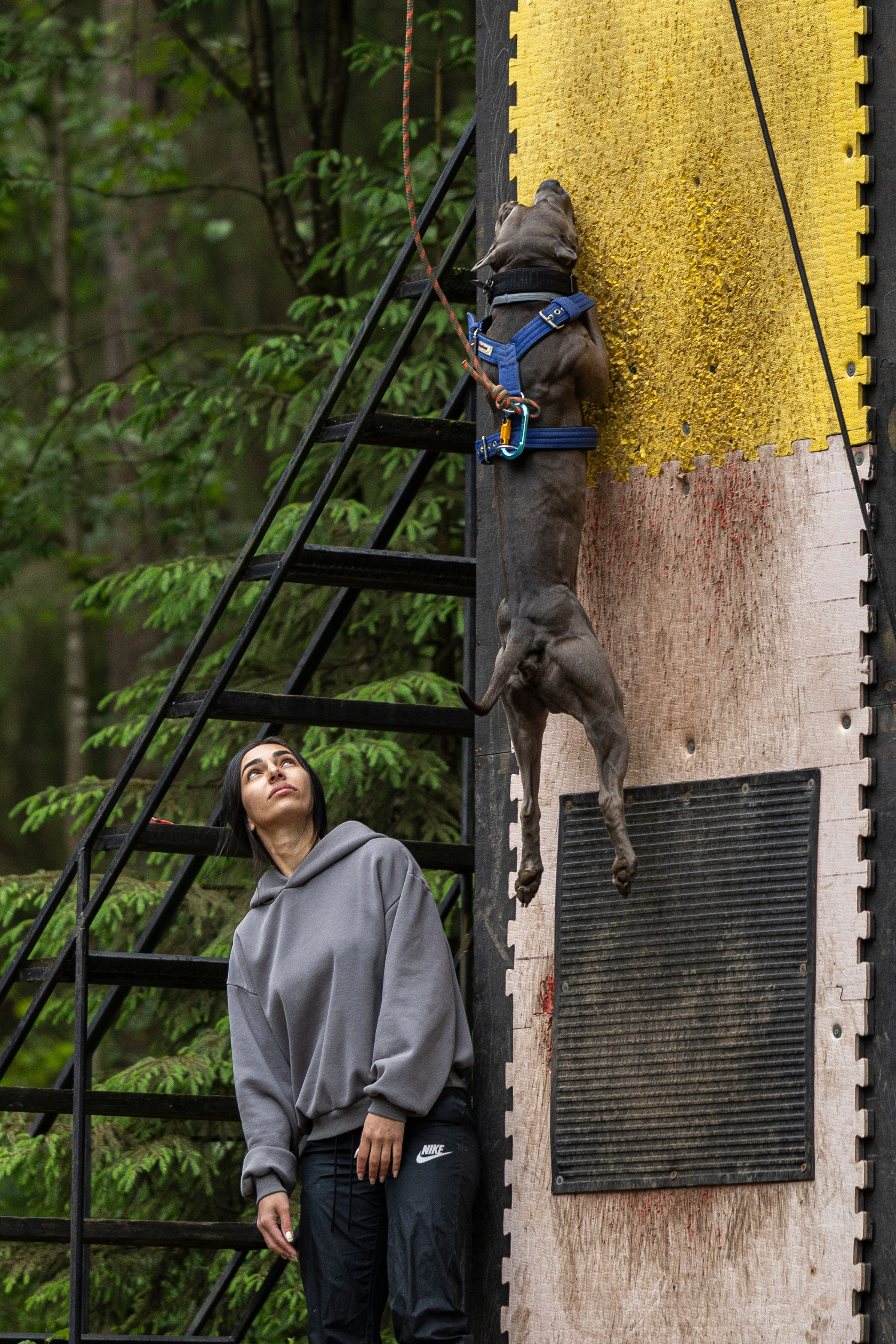 Пит-стафф многоборье. Фотограф-анималист Анна Маринич