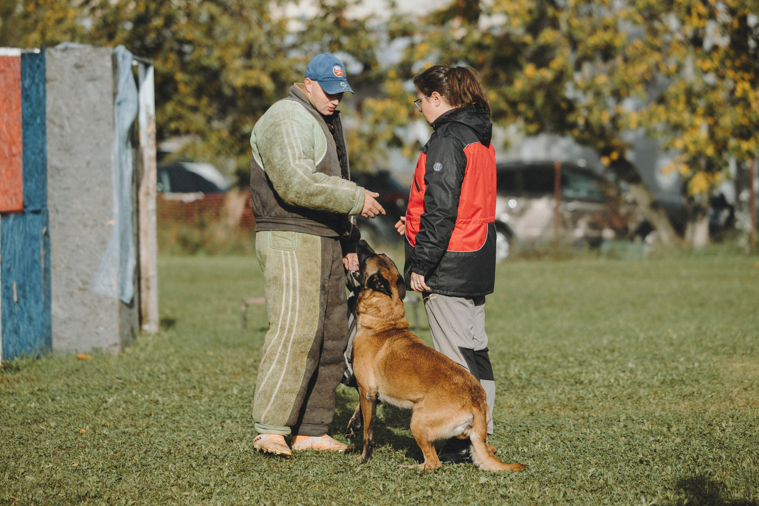 Испытания по мондьорингу г. Пушкин 29.09.2024. Фотограф-анималист Анна Маринич