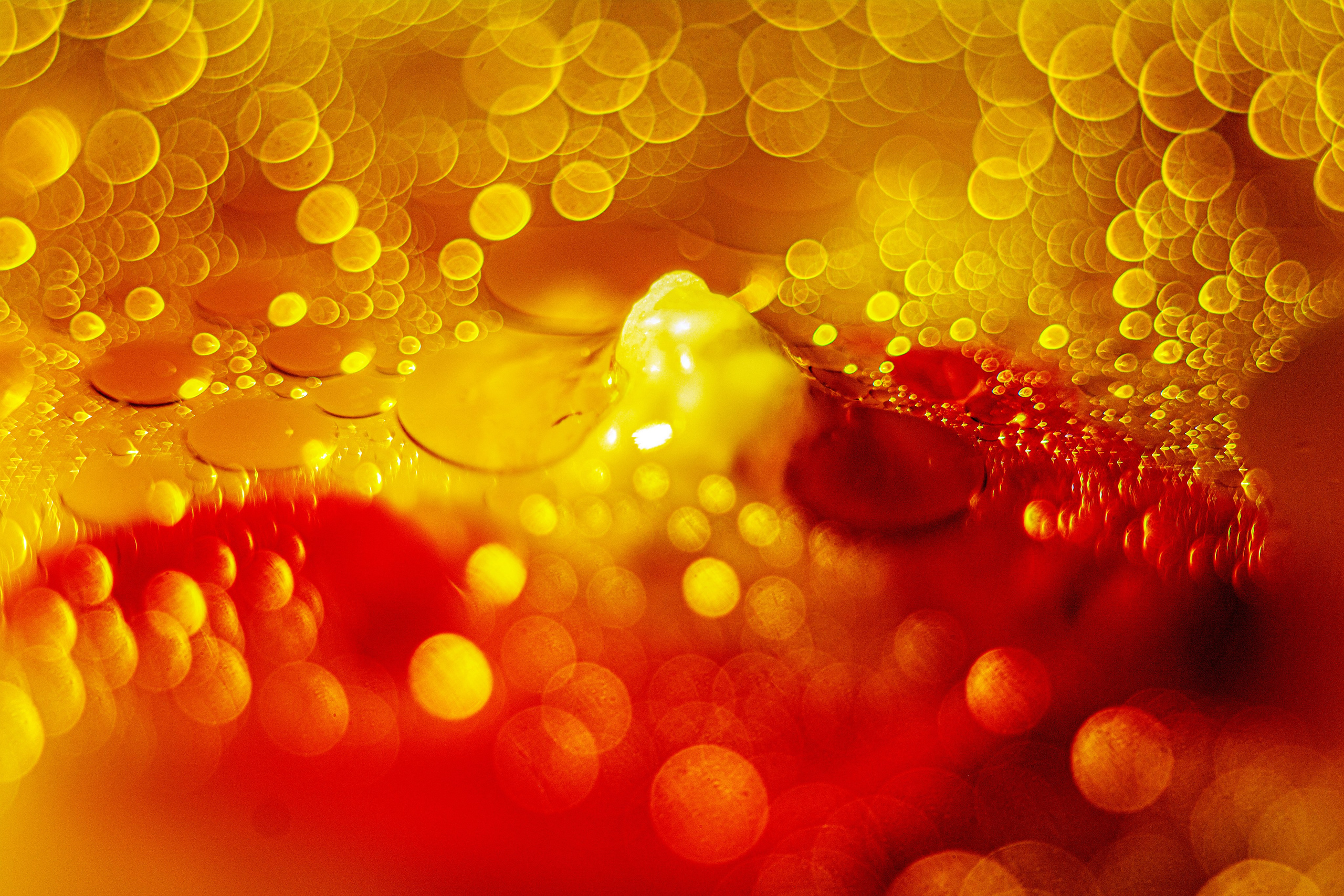 Неизведанная Вселенная. Главная