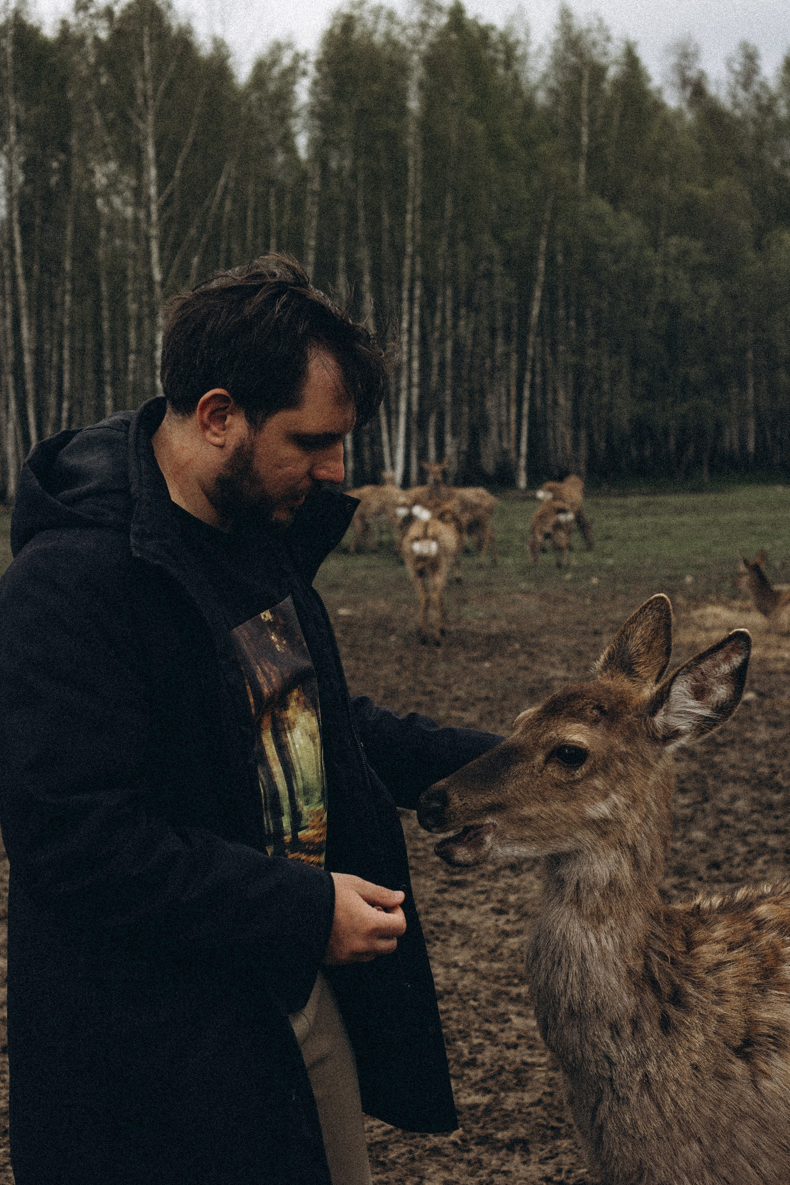 ОЛЕНЬЯ ФЕРМА В ТВЕРИ. Профессиональный фотограф, Санкт-Петербург — Виктория Богомолова