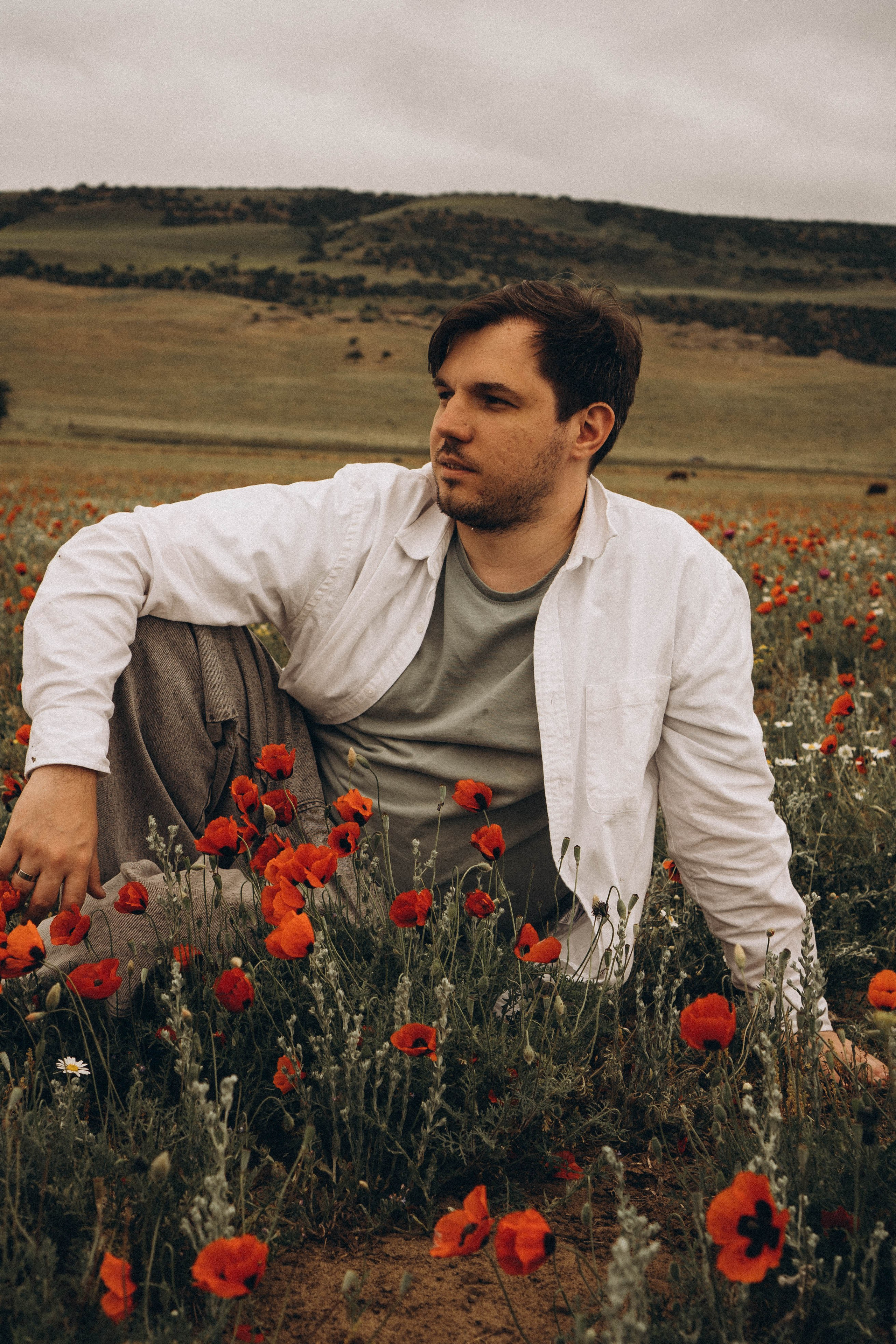 Маки. Профессиональный фотограф, Санкт-Петербург — Виктория Богомолова