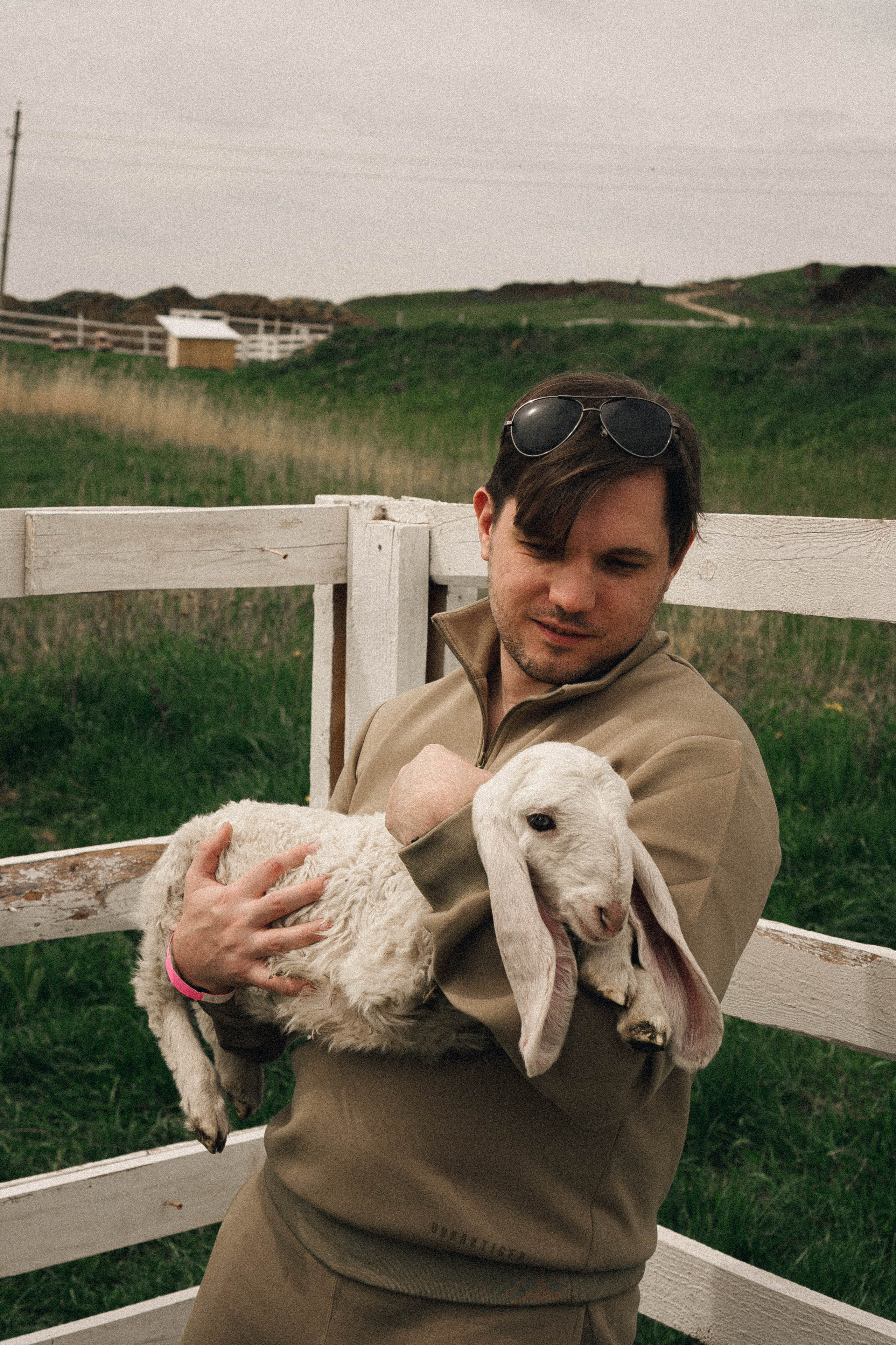 Ферма Альпак. Профессиональный фотограф, Санкт-Петербург — Виктория Богомолова