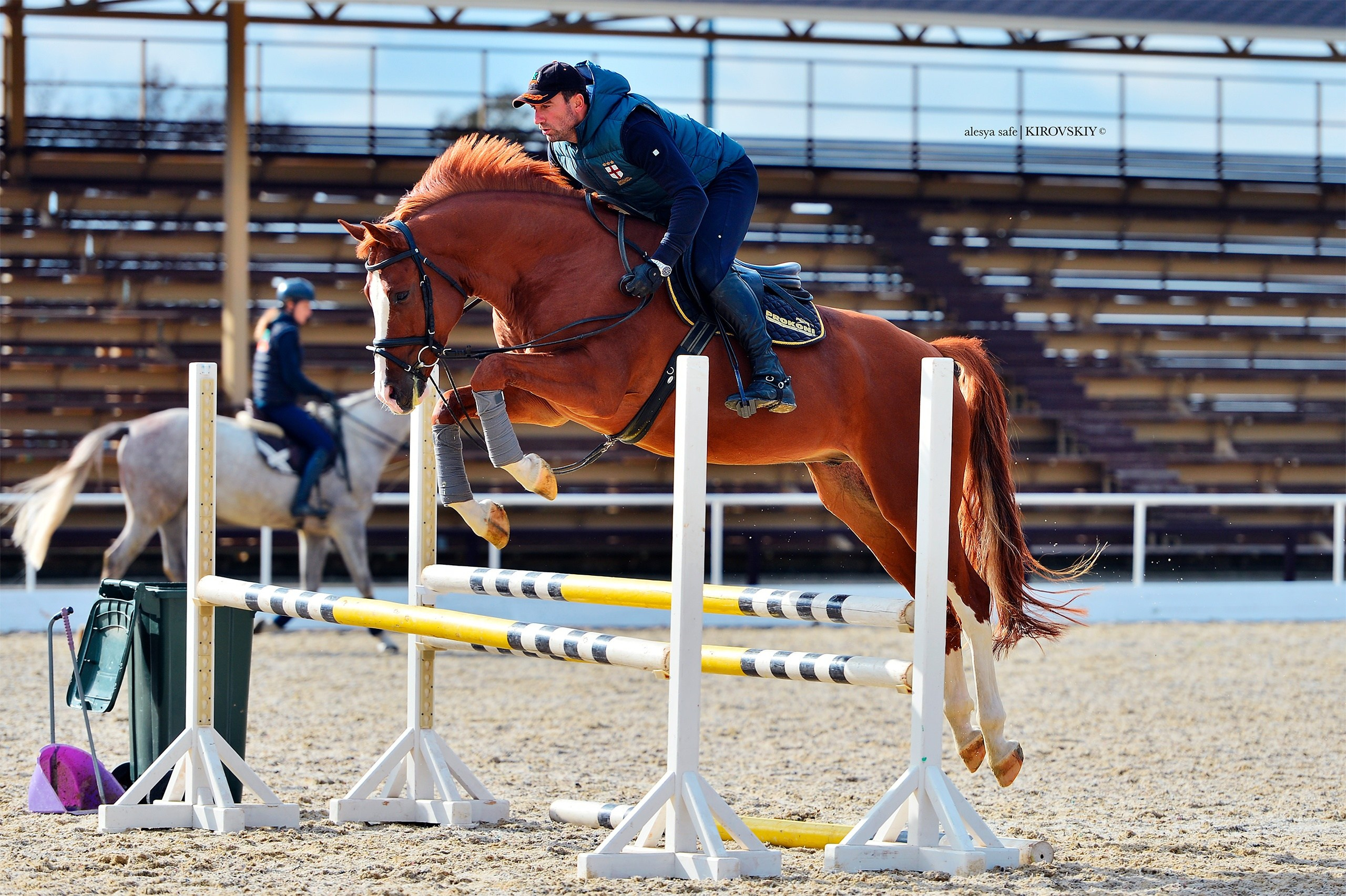 Кировский конный завод. Конный фотограф Alesya Safe