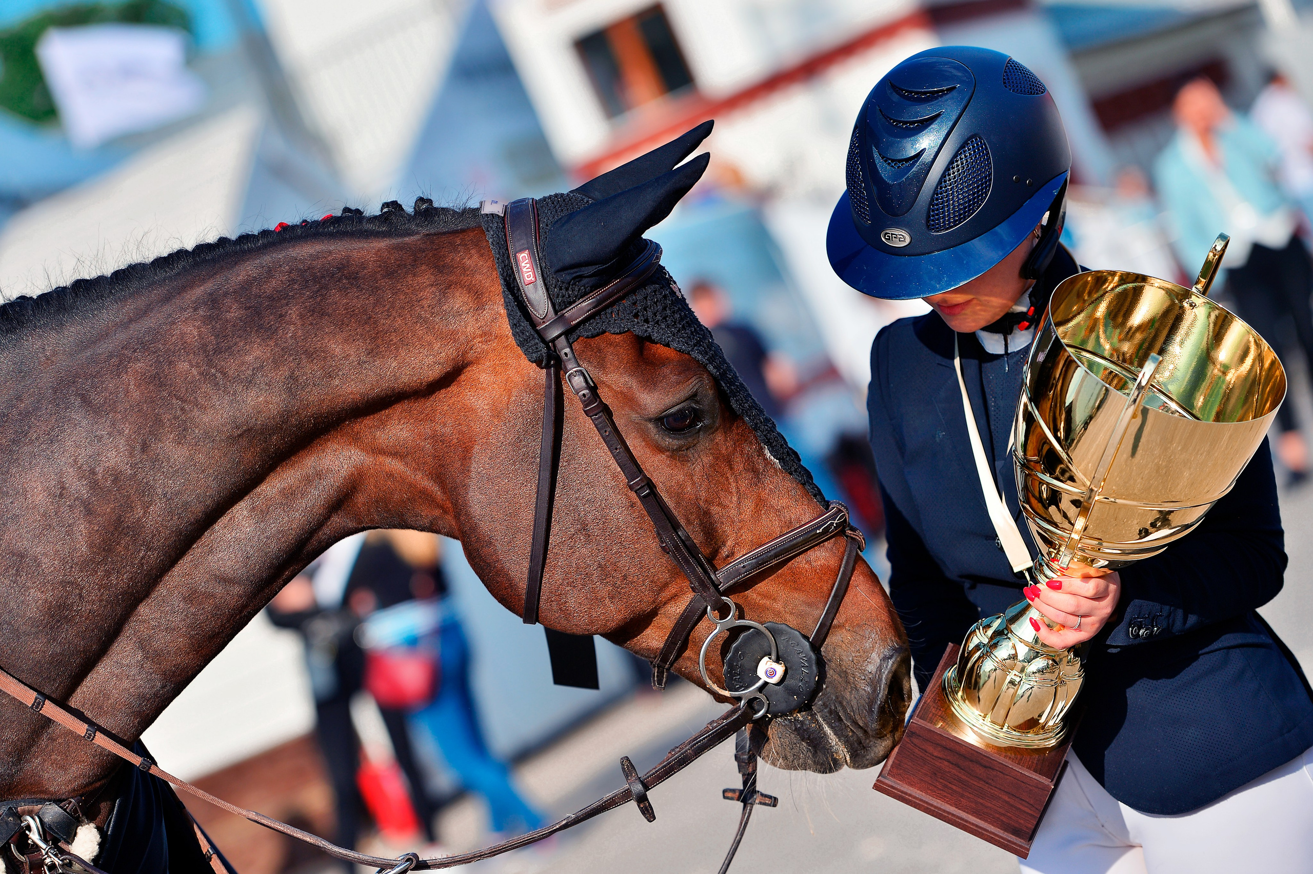 Репортаж Bitriver. Конный фотограф Alesya Safe