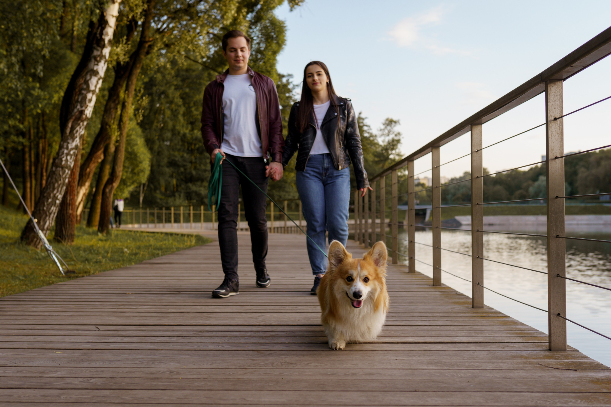 Катя, Арсений и Пух. Свадебный фотограф в Москве Анна Полушина