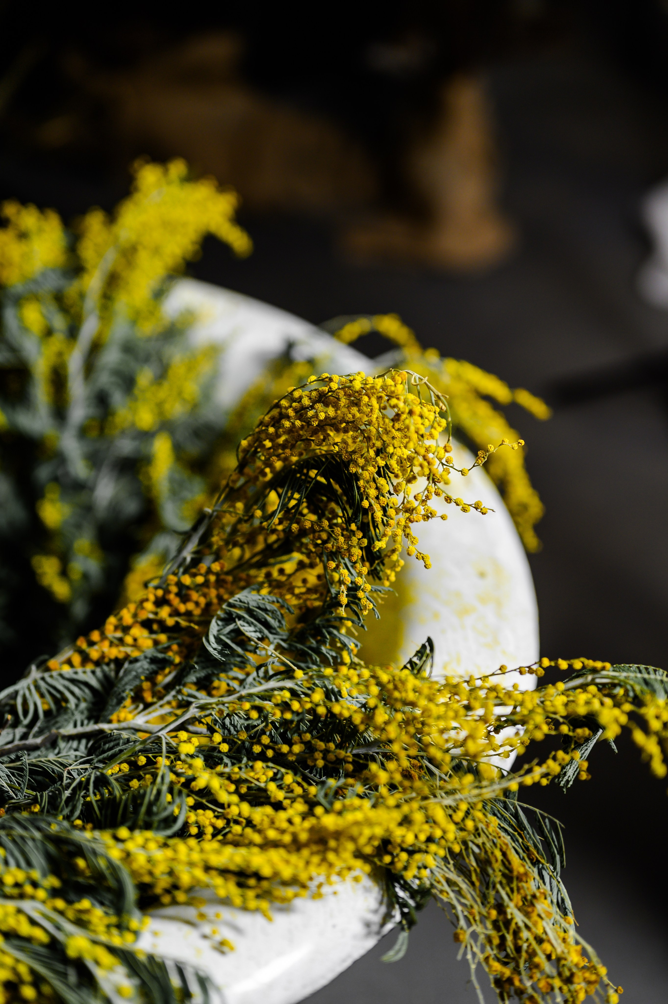 Марина&Ева Мимоза. Свадебный и семейный фотограф Евгения Кононова