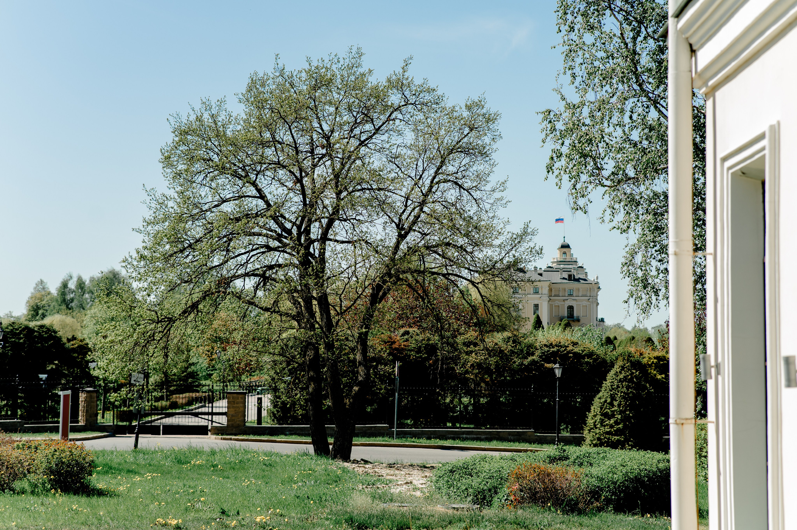 Выпускные/звонки. Свадебный и семейный фотограф Евгения Кононова