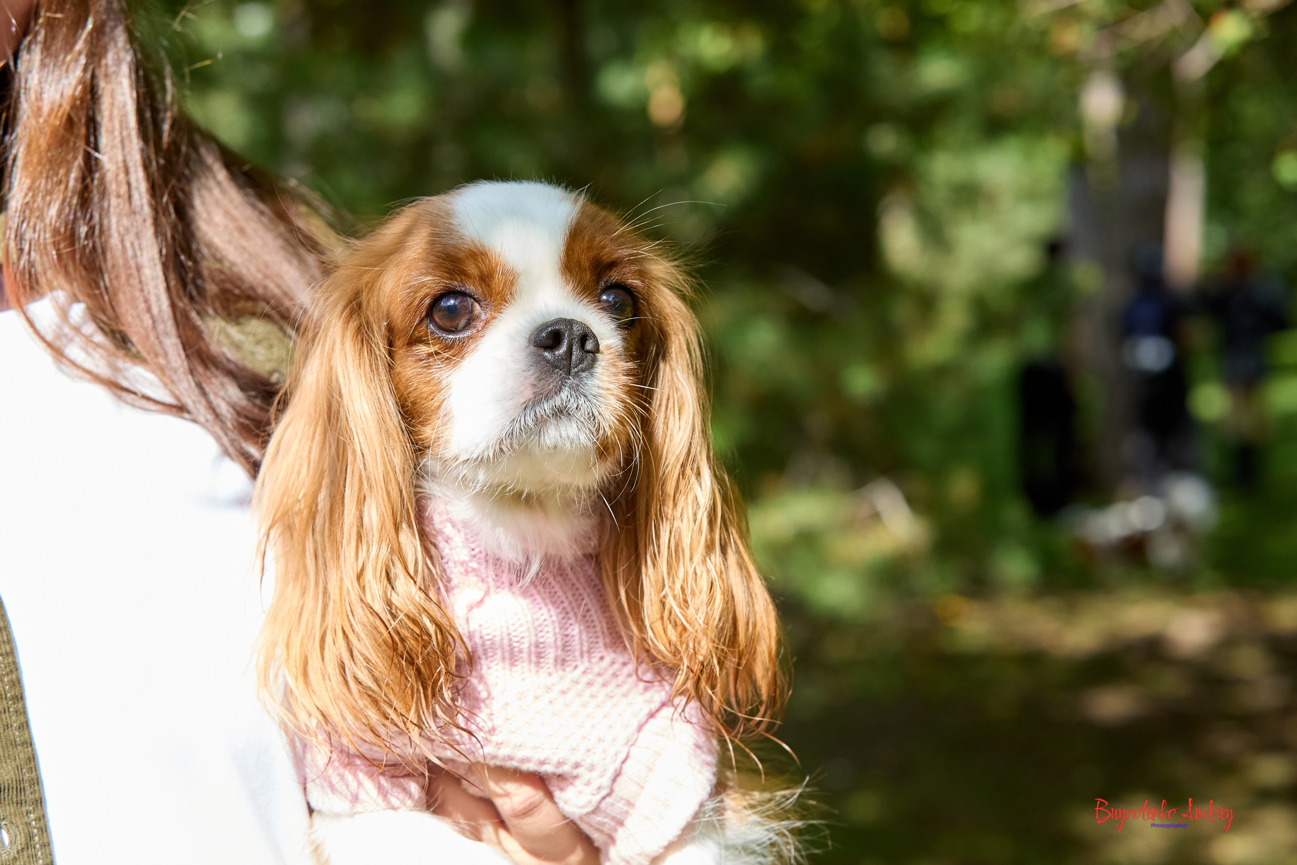 Фотопрогулка с кавалерами. Buyvolenko Andrey