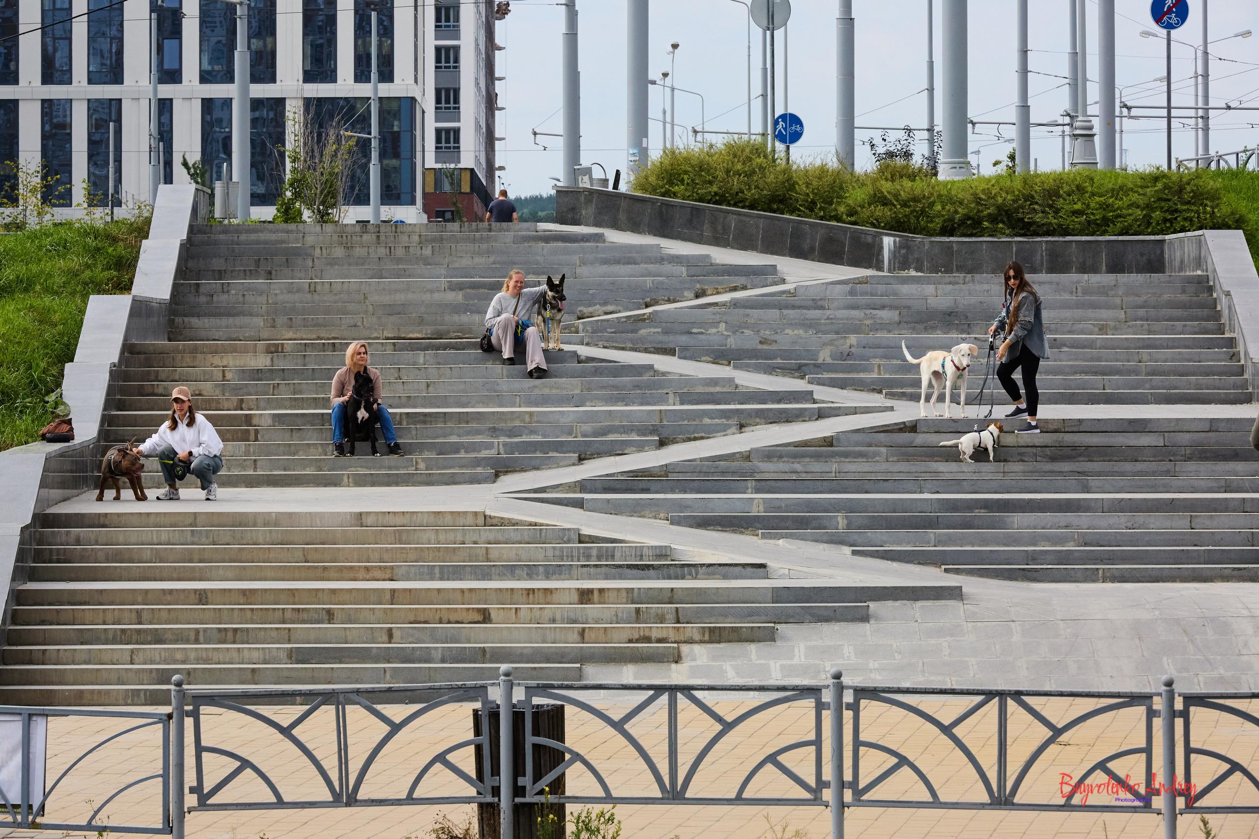 Проект фотопрогулка с хвостиком. Buyvolenko Andrey