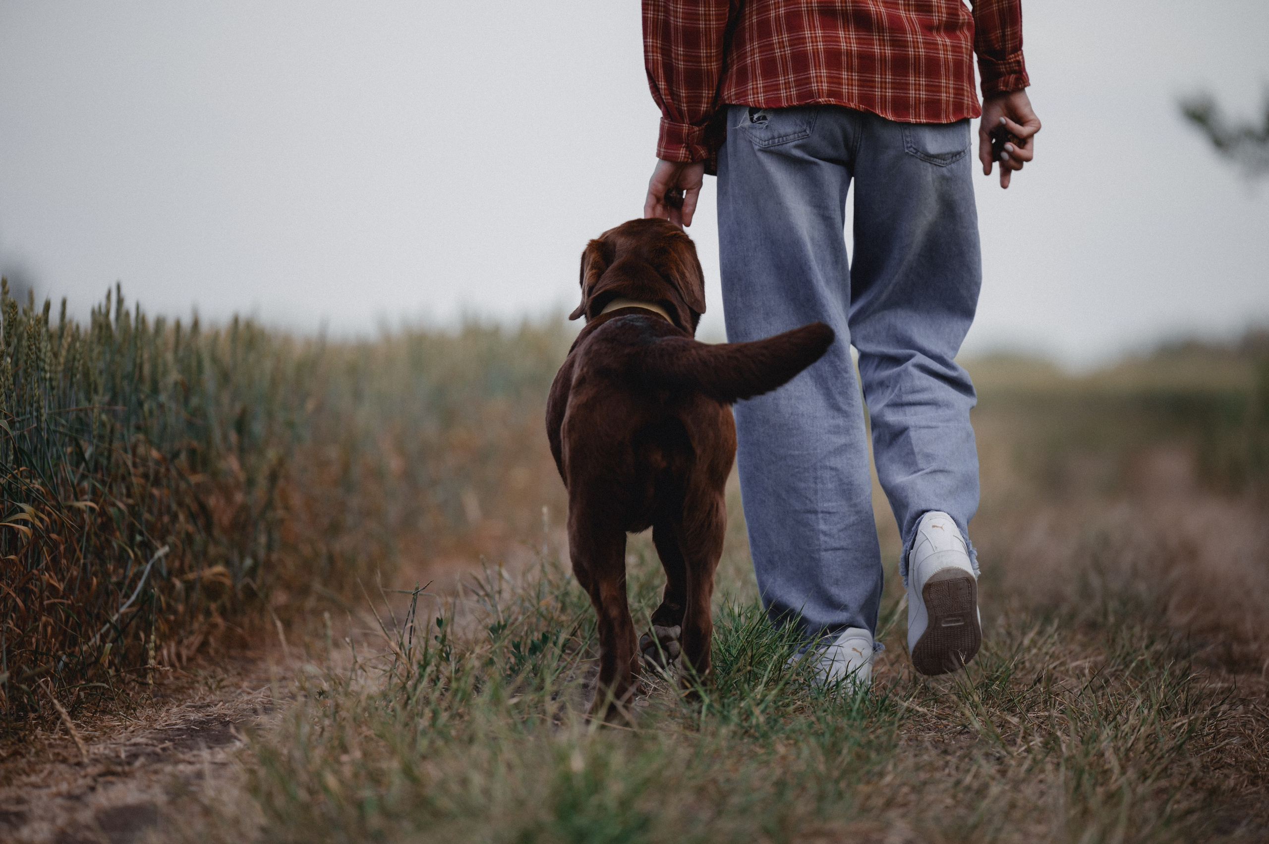 Анечка и Дэя. Фотограф в Ростове —на — Дону