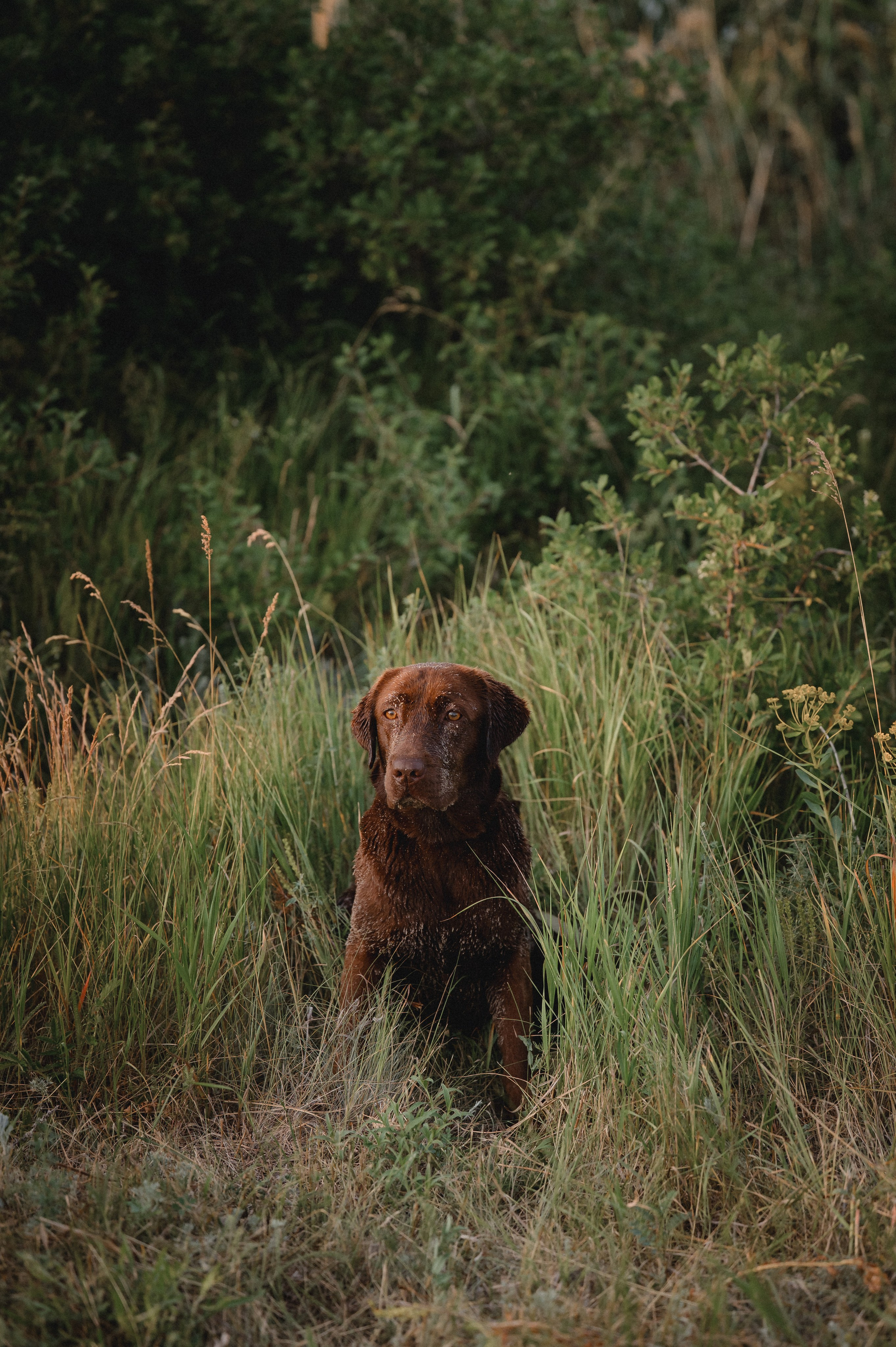Анечка и Дэя. Фотограф в Ростове —на — Дону
