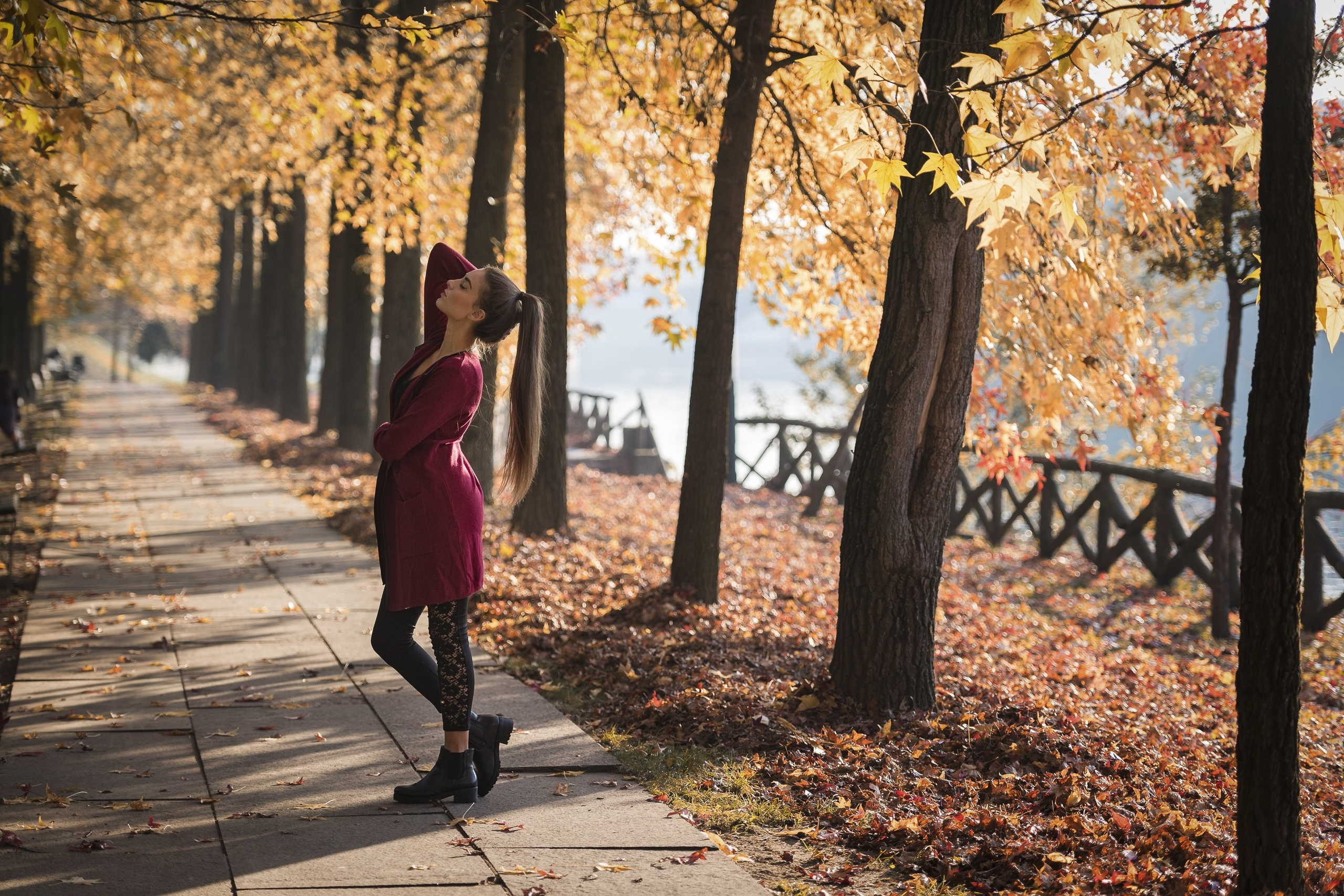 ПАРК, УЛИЦА