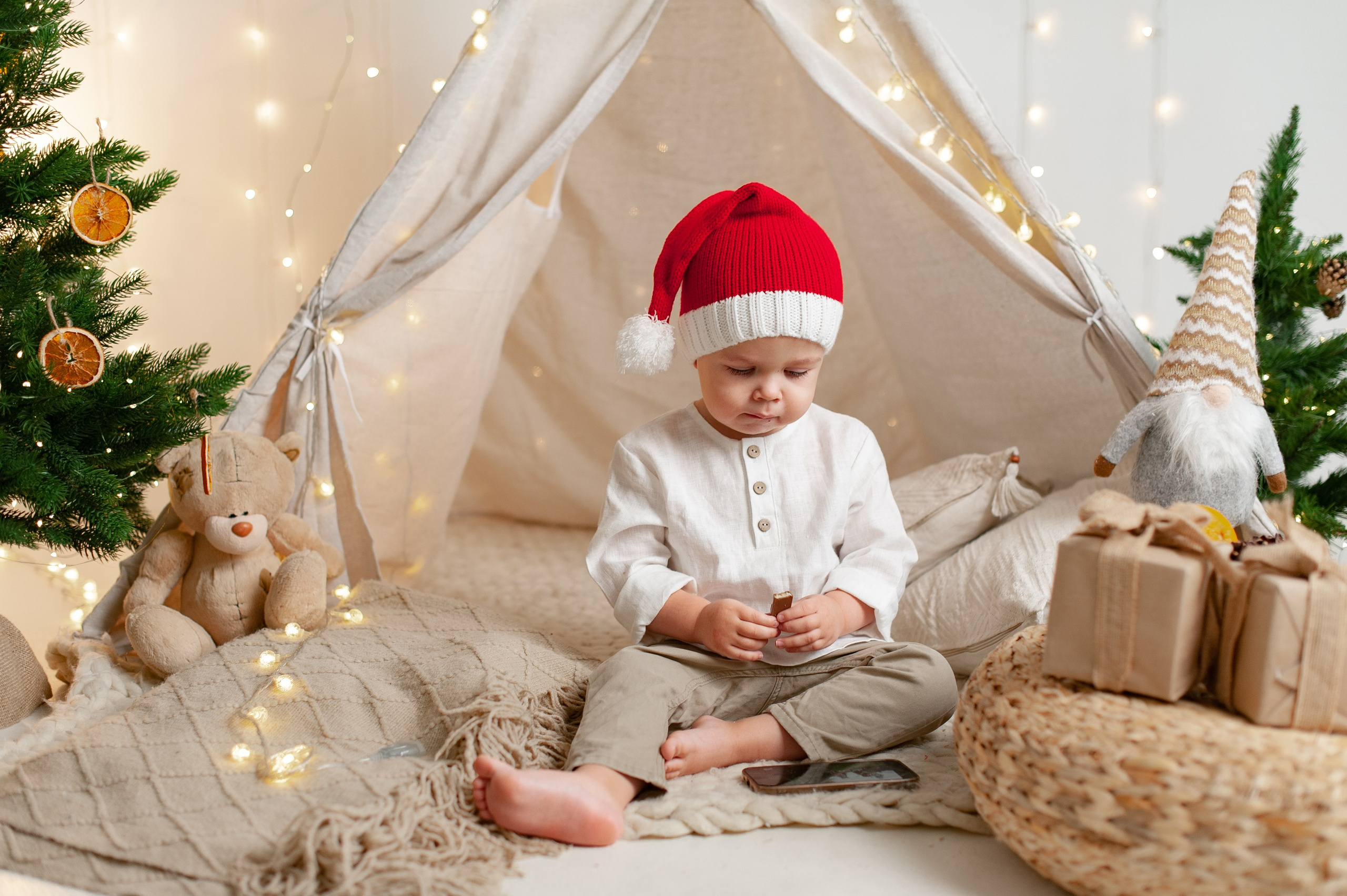 Новый год 2025. Фотостудия Сфера в Чехове