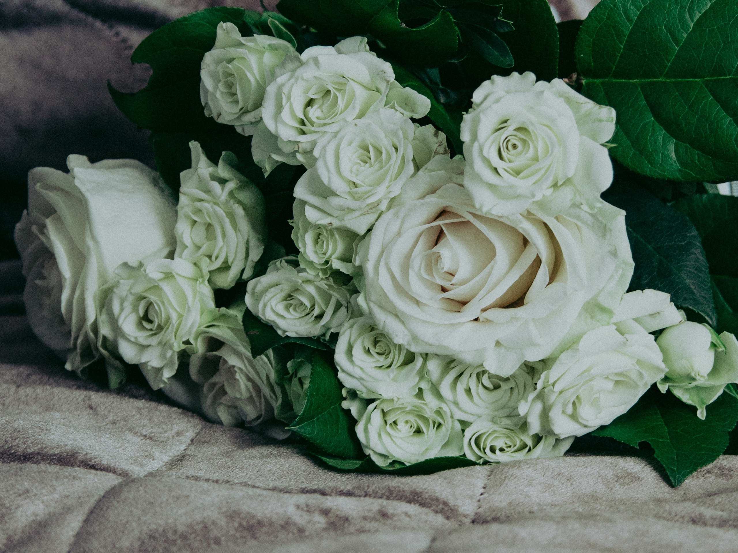 Утро невесты и жениха в  Baikal Forest. Свадебный Фотограф в Иркутске Екатерина Елисеева