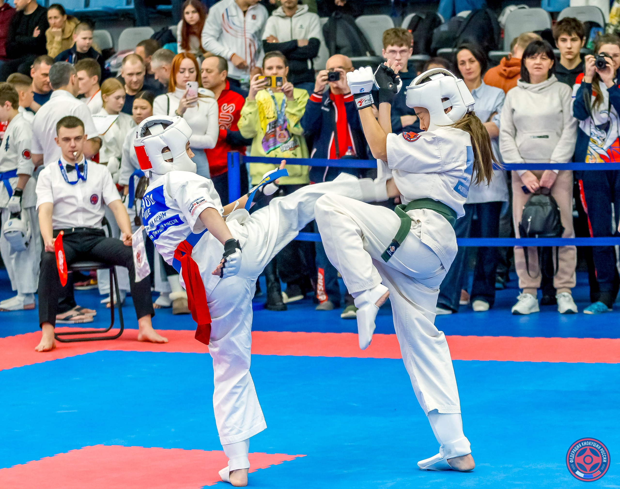 Международный турнир по киокушин «Открытый кубок Seiken». Репортажная съемка в Москве и области. Анималистика