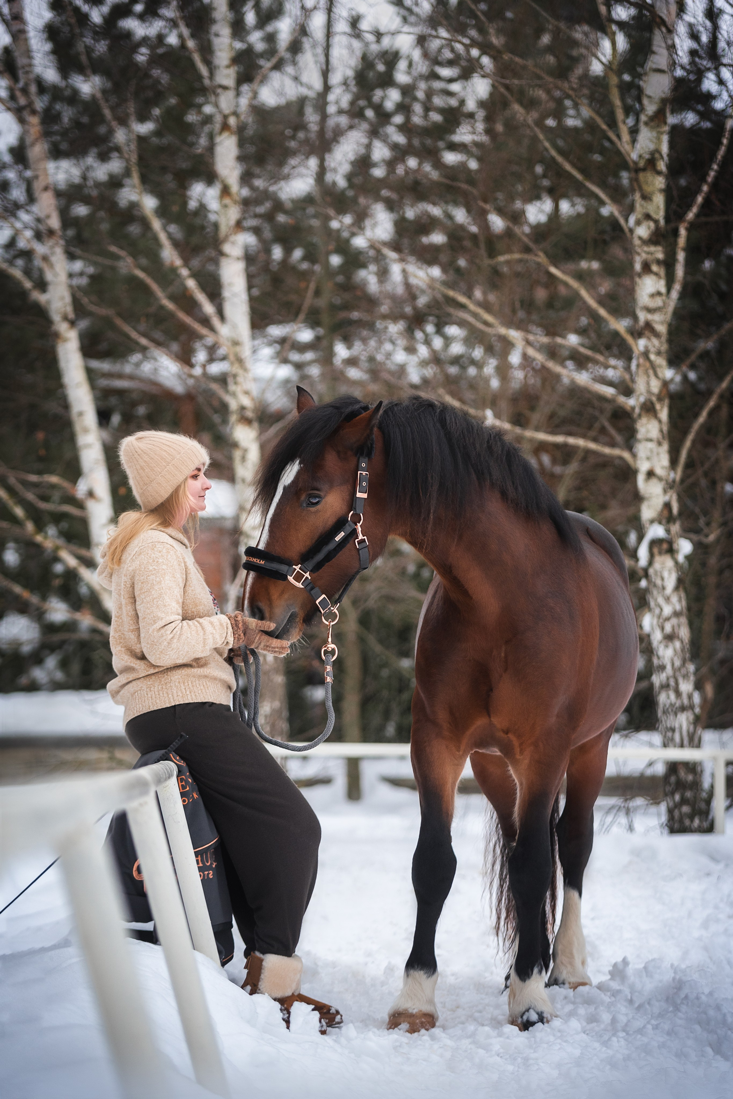 Новогодний Волконский. Конный фотограф Куракина Дарья • Фотосессии с лошадьми