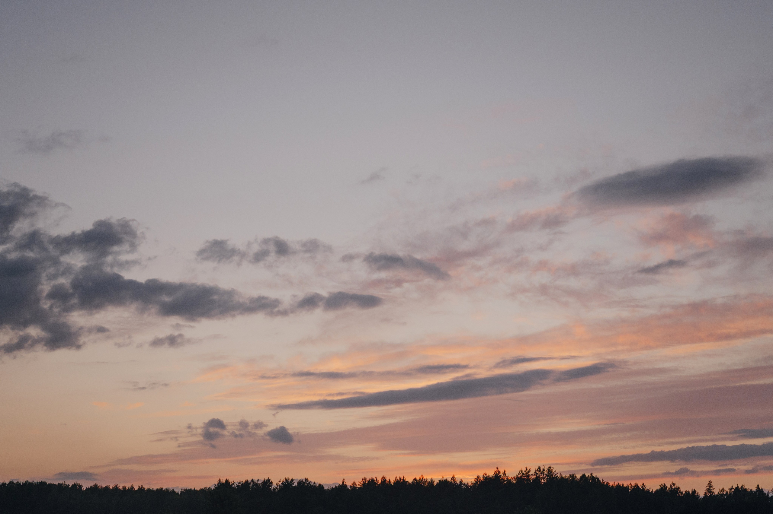 Нежность. Свадебный фотограф в Минске Тагай Наталья