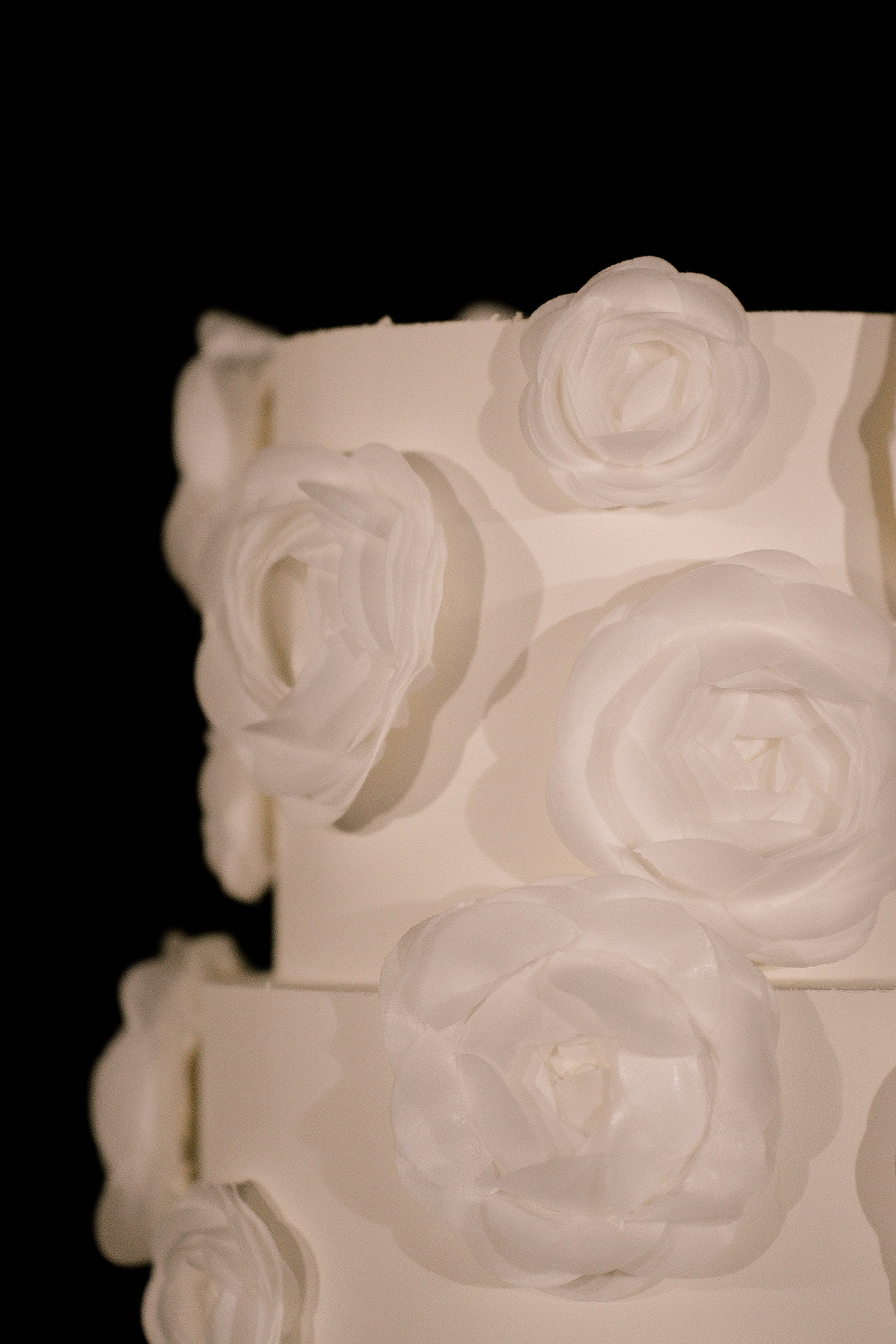 Виталий Елена. Свадебный фотограф Воронеж