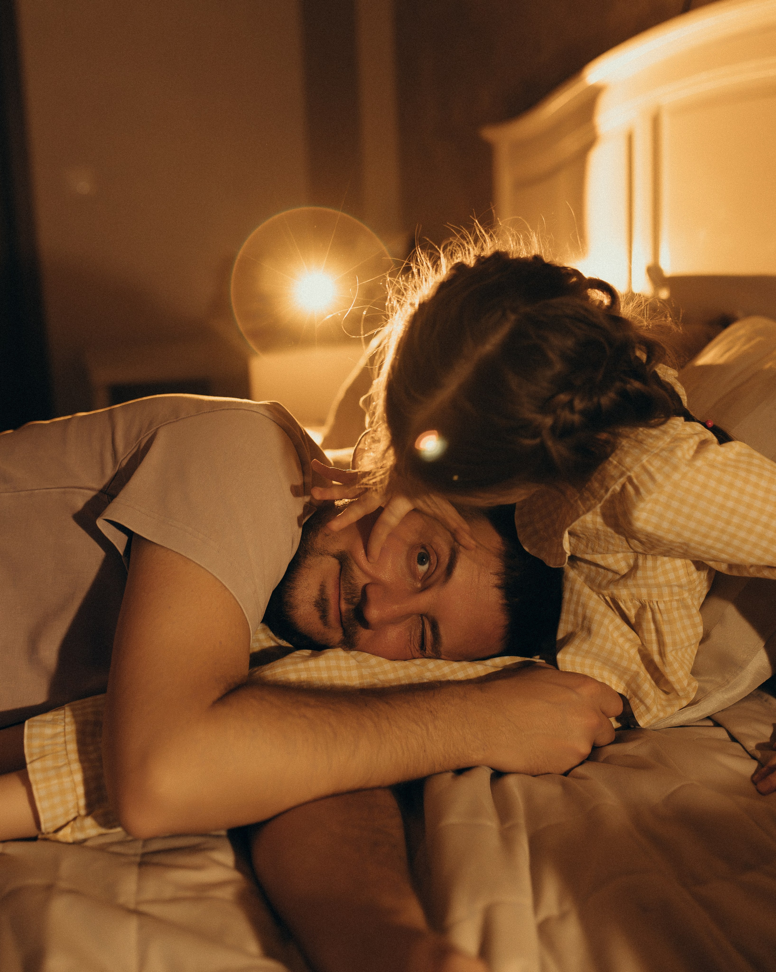 Домашняя история. Meryfotoidea