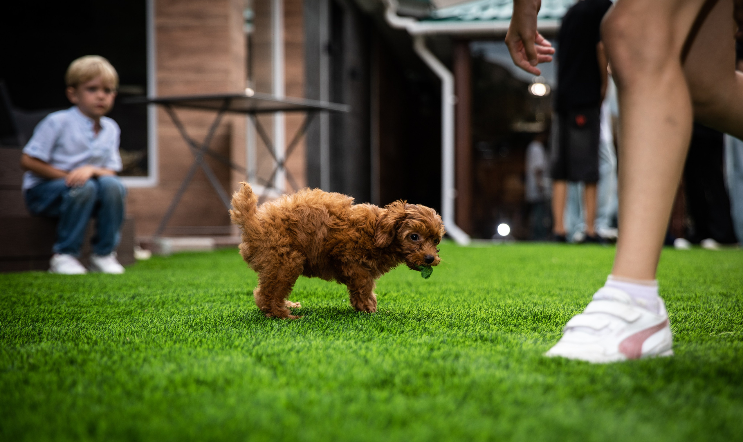 День Рождения Егорки -2025. VoronEvent. Репортажный и свадебный фотограф в Челябинске Елисеев Павел