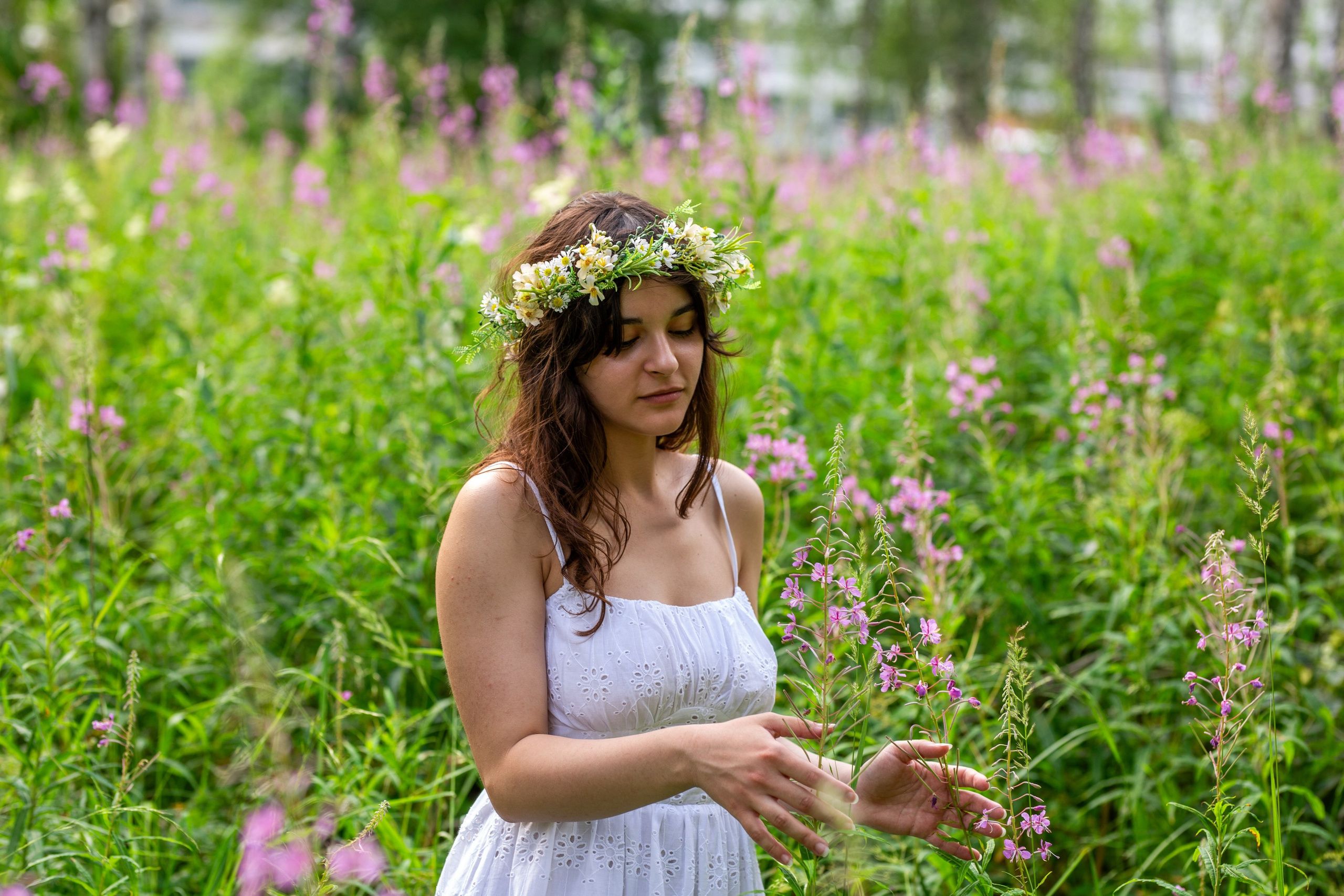 Солнечные цветы. Репортажный, семейный, свадебный, портретный фотограф