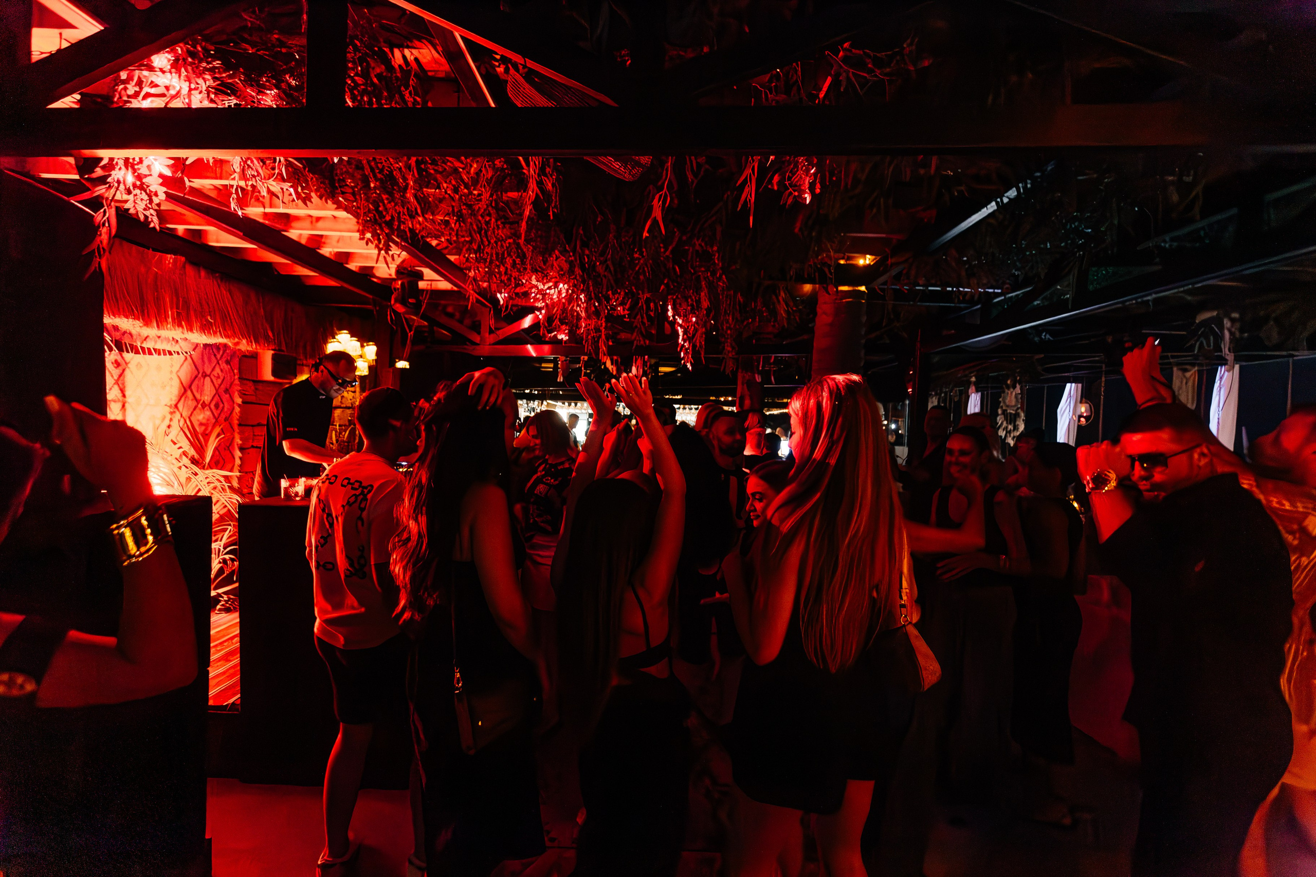 Чайка_на_пляже_Андро_Ялта_24.08.2024. Аминов Руслан | Фотограф