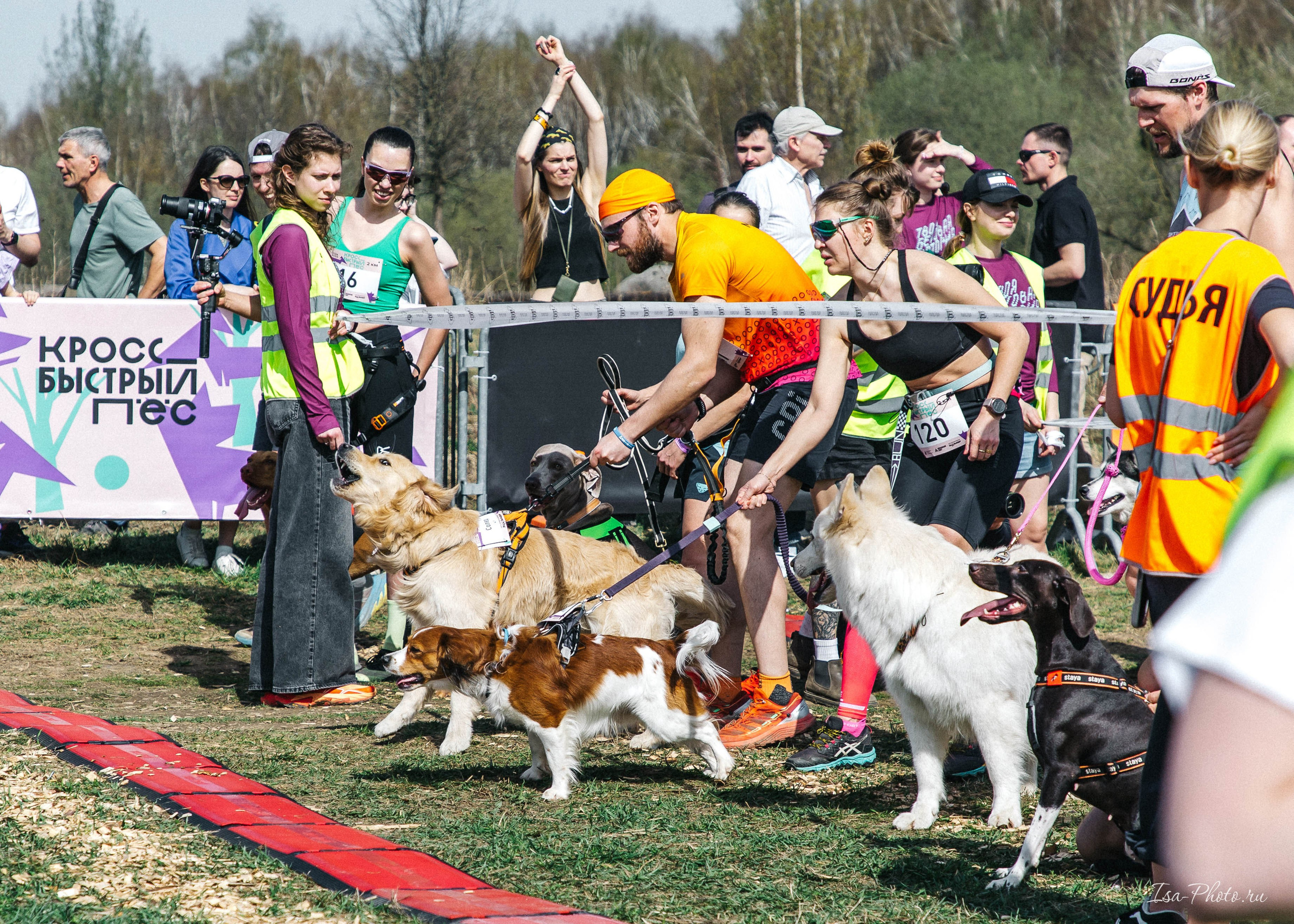 Кросс «Быстрый пёс» 2025. Репортажный фотограф в Москве