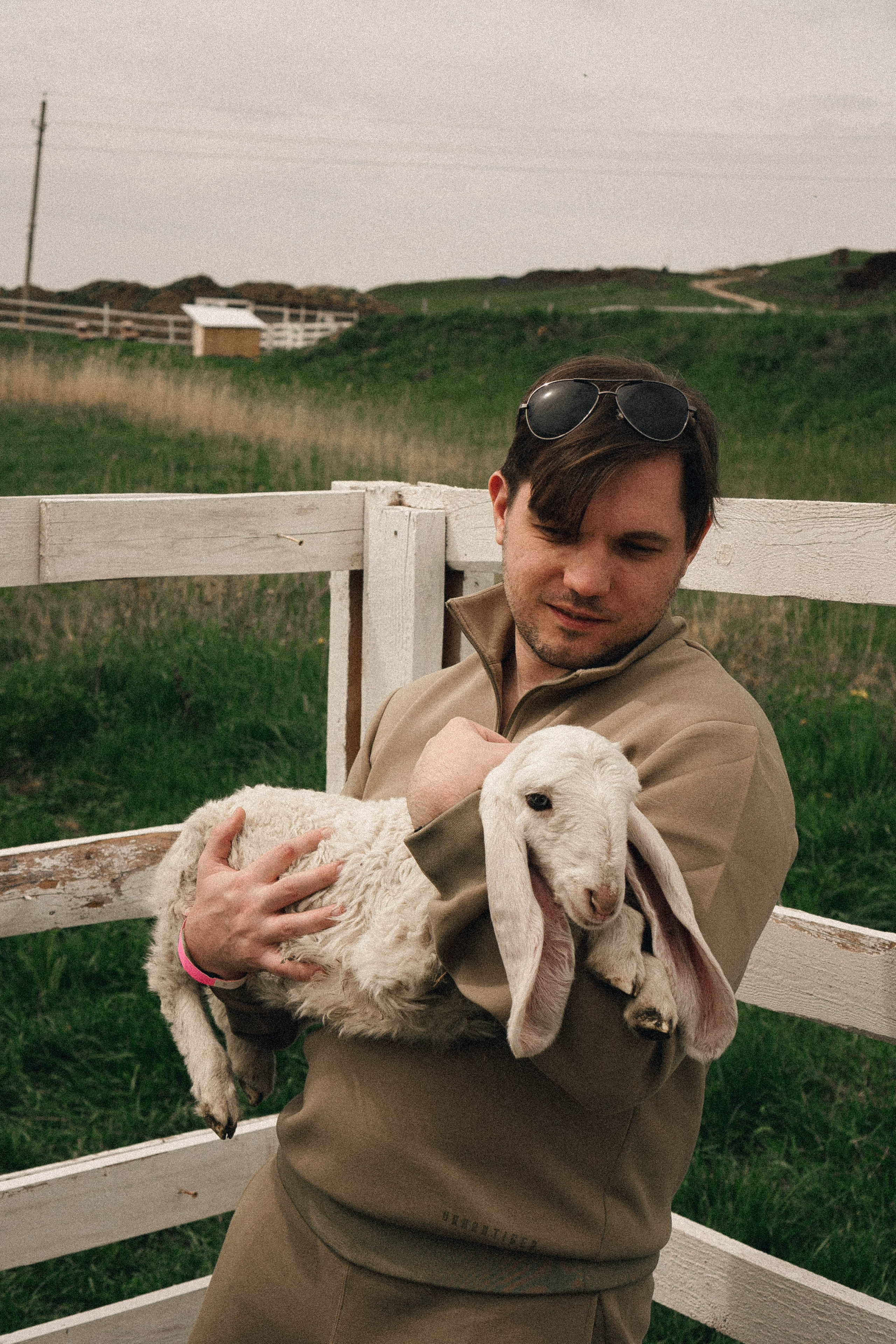 Ферма Альпак. Профессиональный фотограф, Санкт-Петербург — Виктория Богомолова