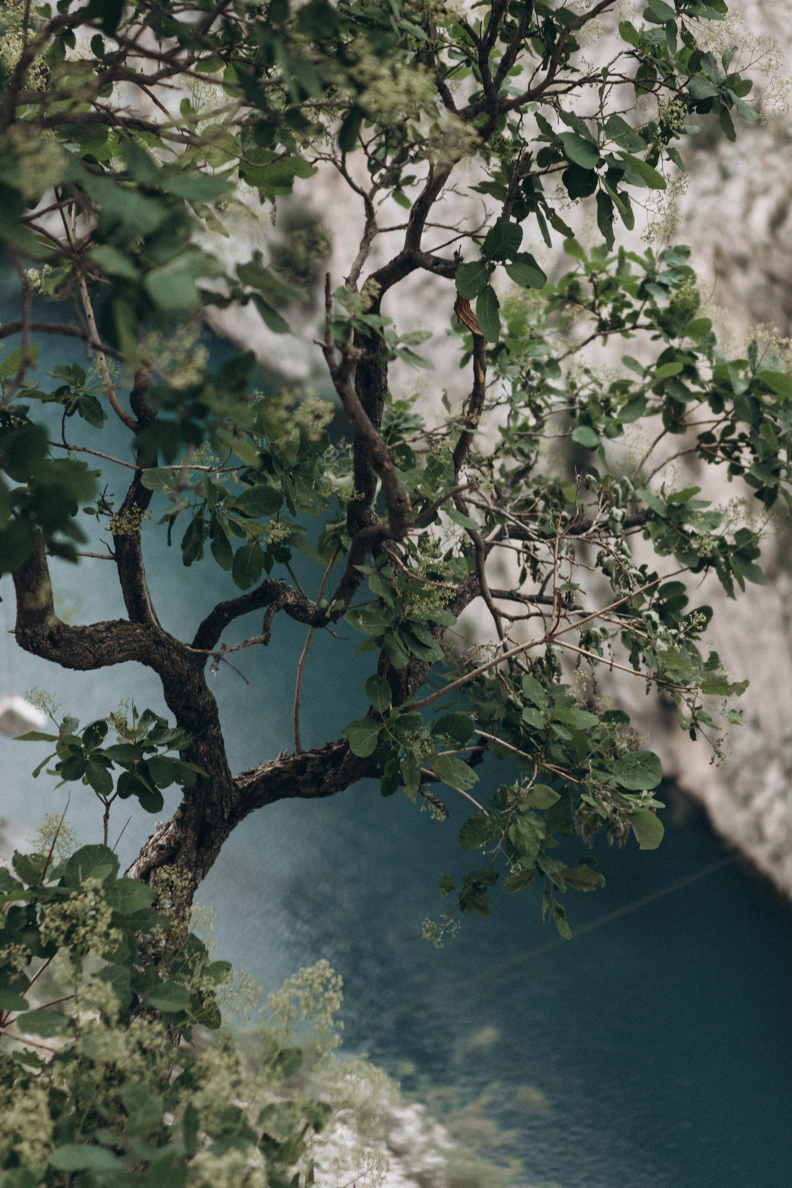 Кавказ. Профессиональный фотограф, Санкт-Петербург — Виктория Богомолова