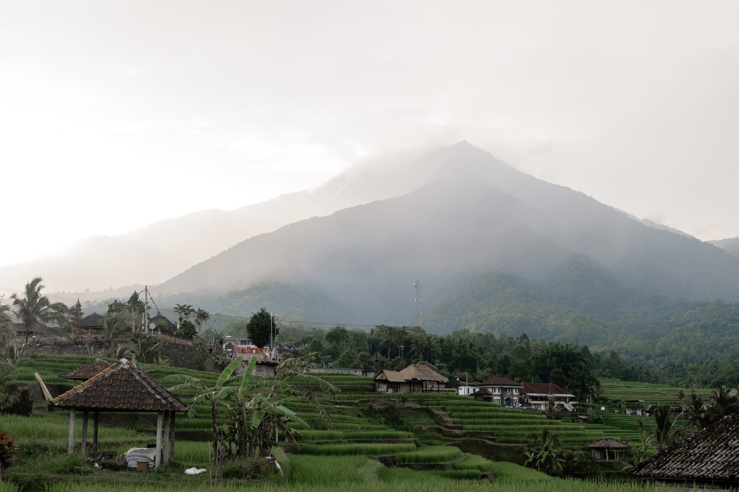 Бали|Даня&Катя. Фотограф на Бали|Свадьба на Бали