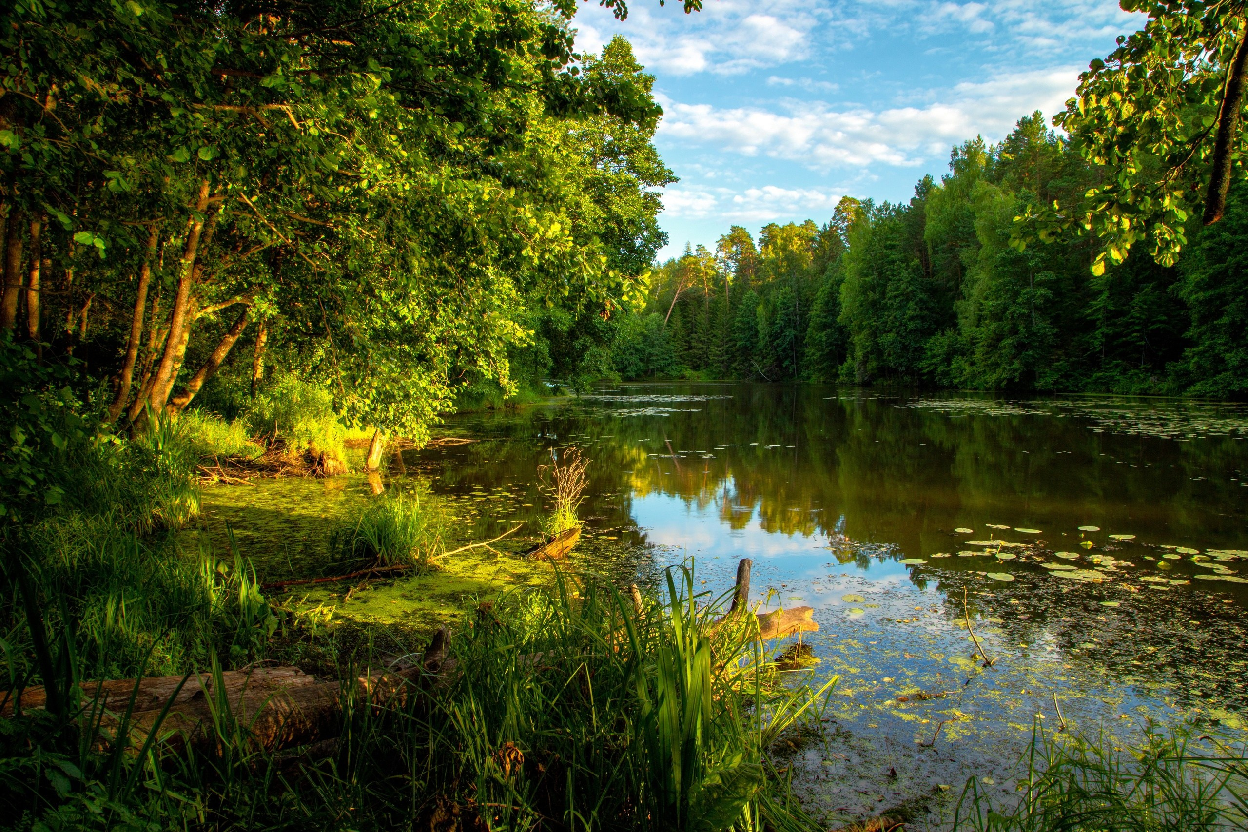 Пейзажная фотосъемка. Владимир Суздалов (ProMaXe) — Портретный фотограф, тематические фотосессии в Чебоксарах