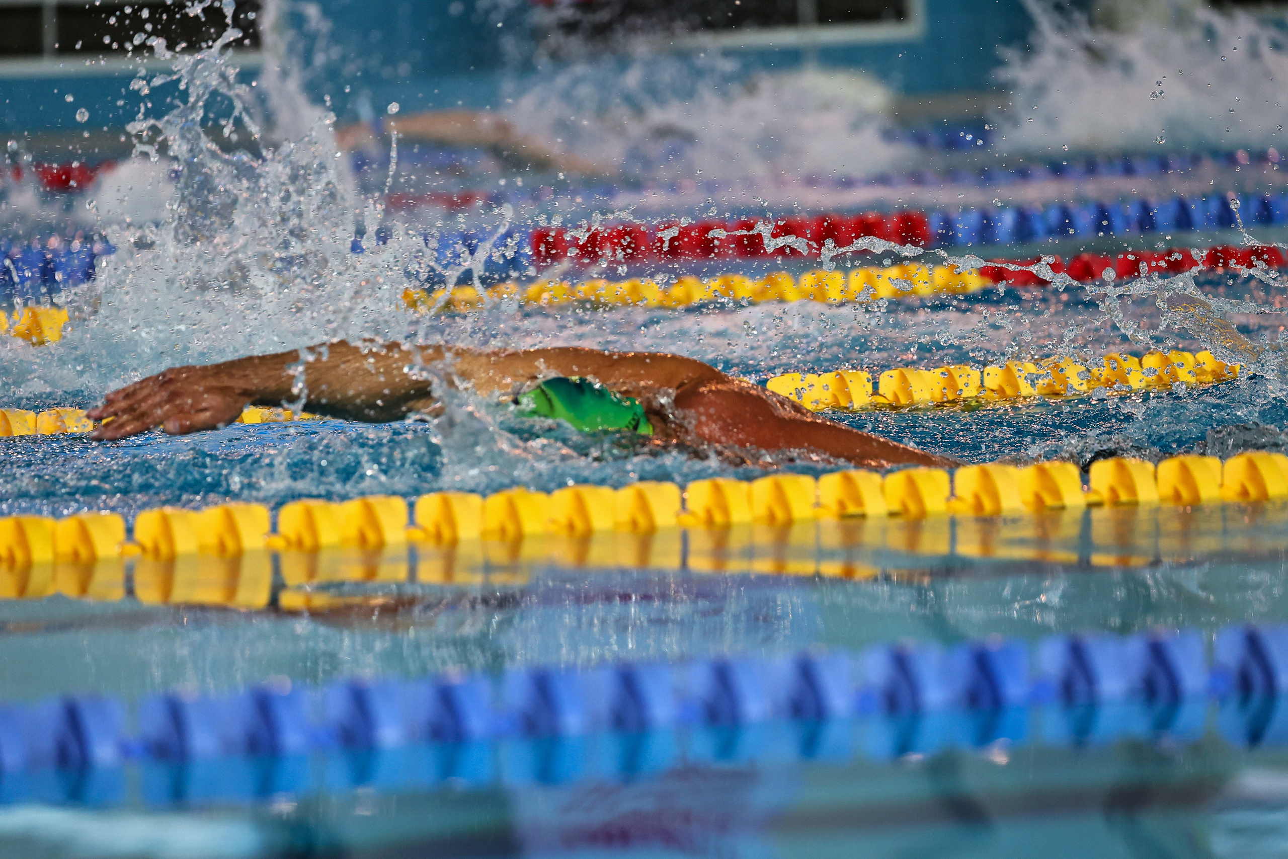 ДЗМ Плавание 2026. Фототерапевт Ева Бунеева