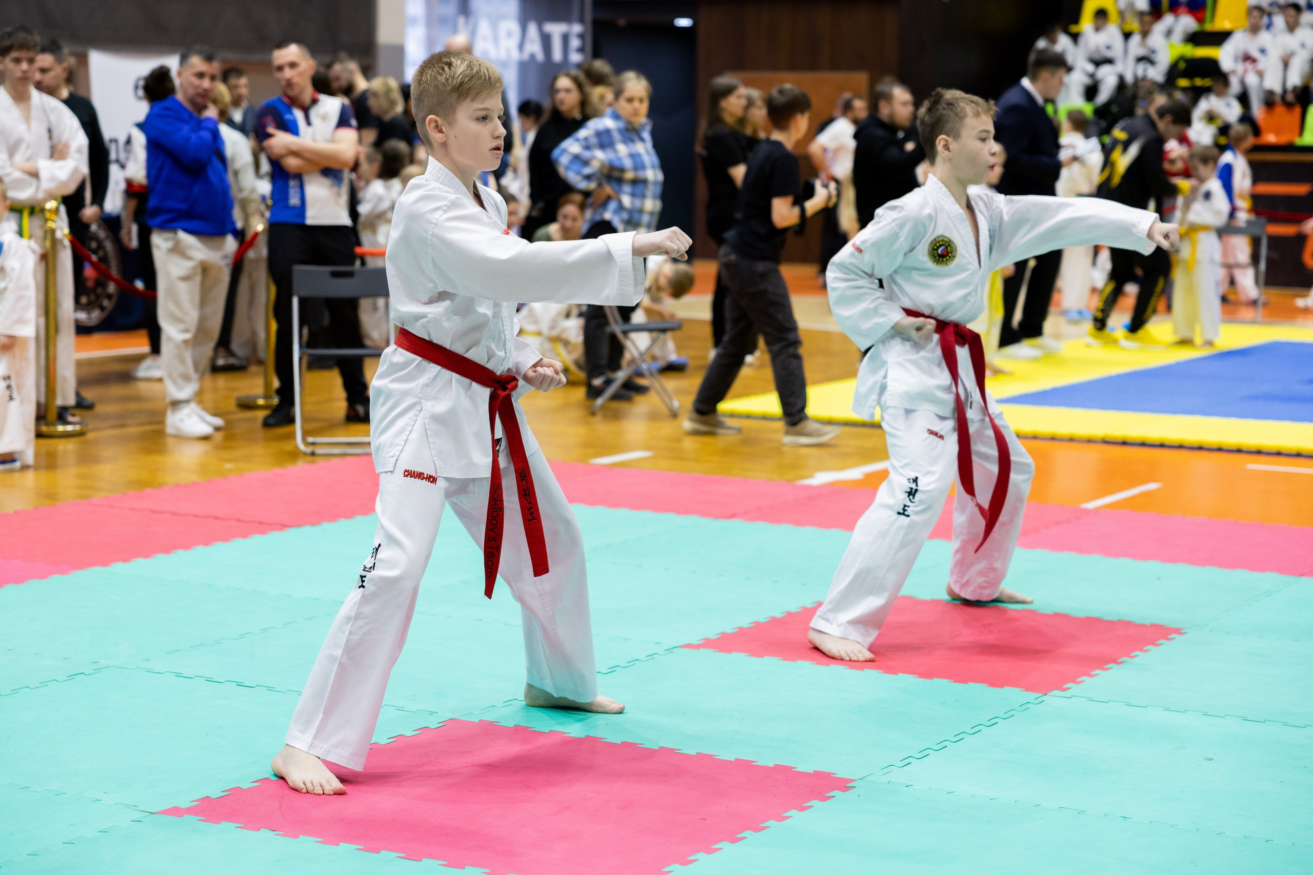 Тхэквондо. Питерский фотограф