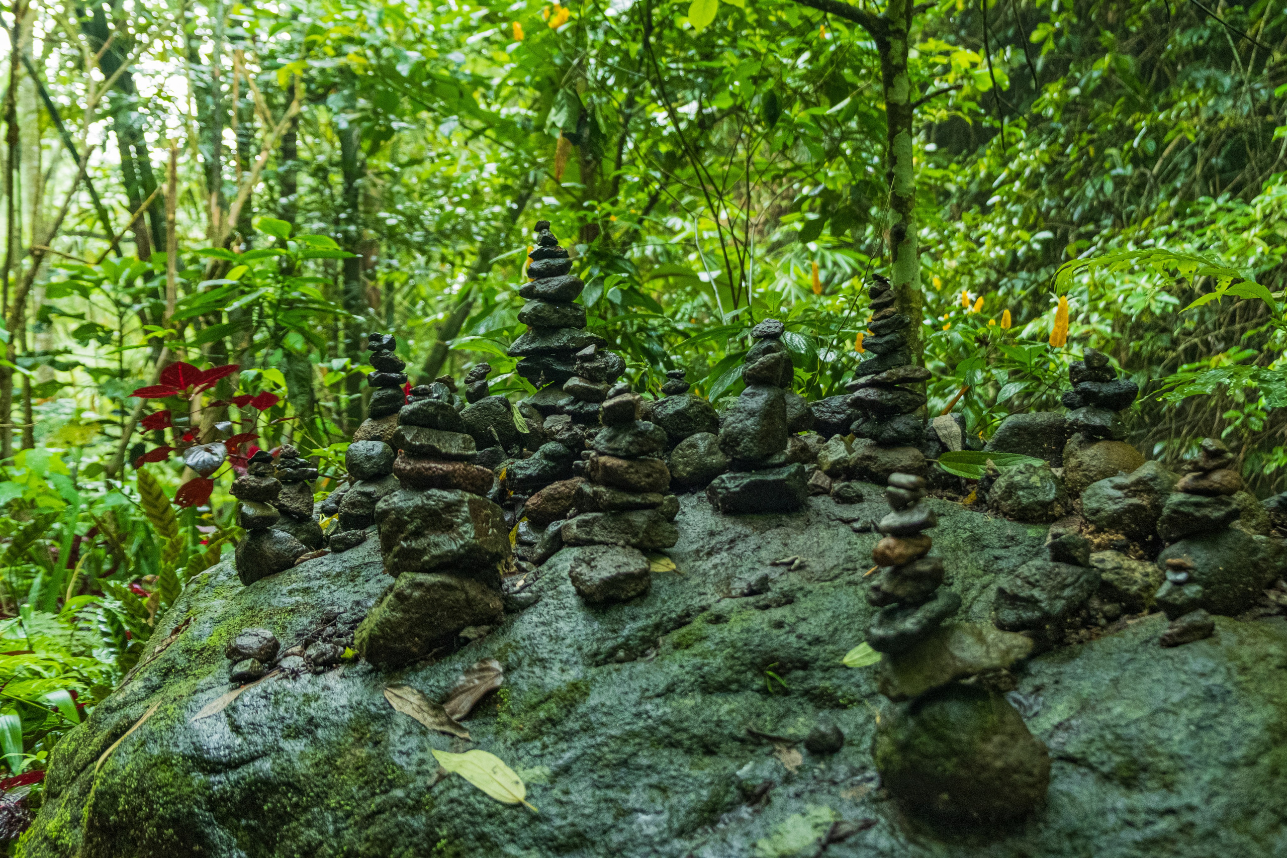 Остров Бали. Фотографии из путешествий