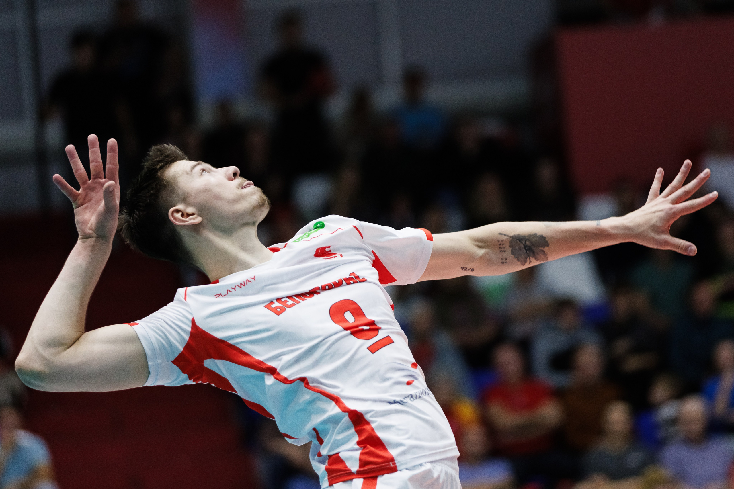 Волейбол. Спортивный фотограф Денис Веселов в Нижнем Новгороде