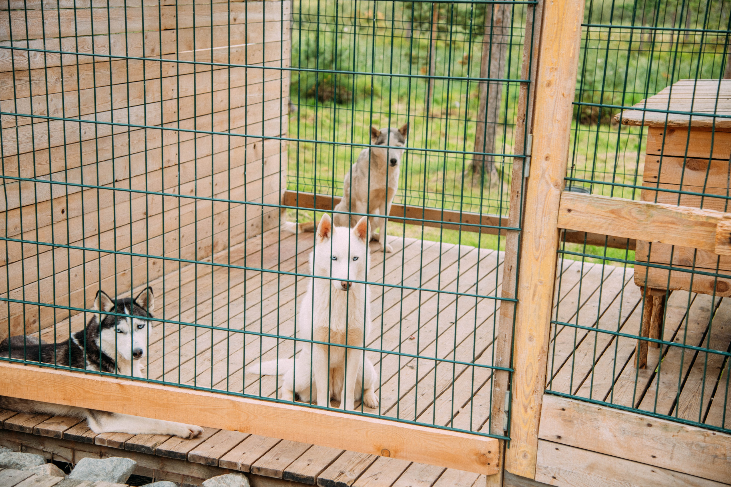 Кольский полуостров. Фотографирую для себя, своей семьи и друзей!