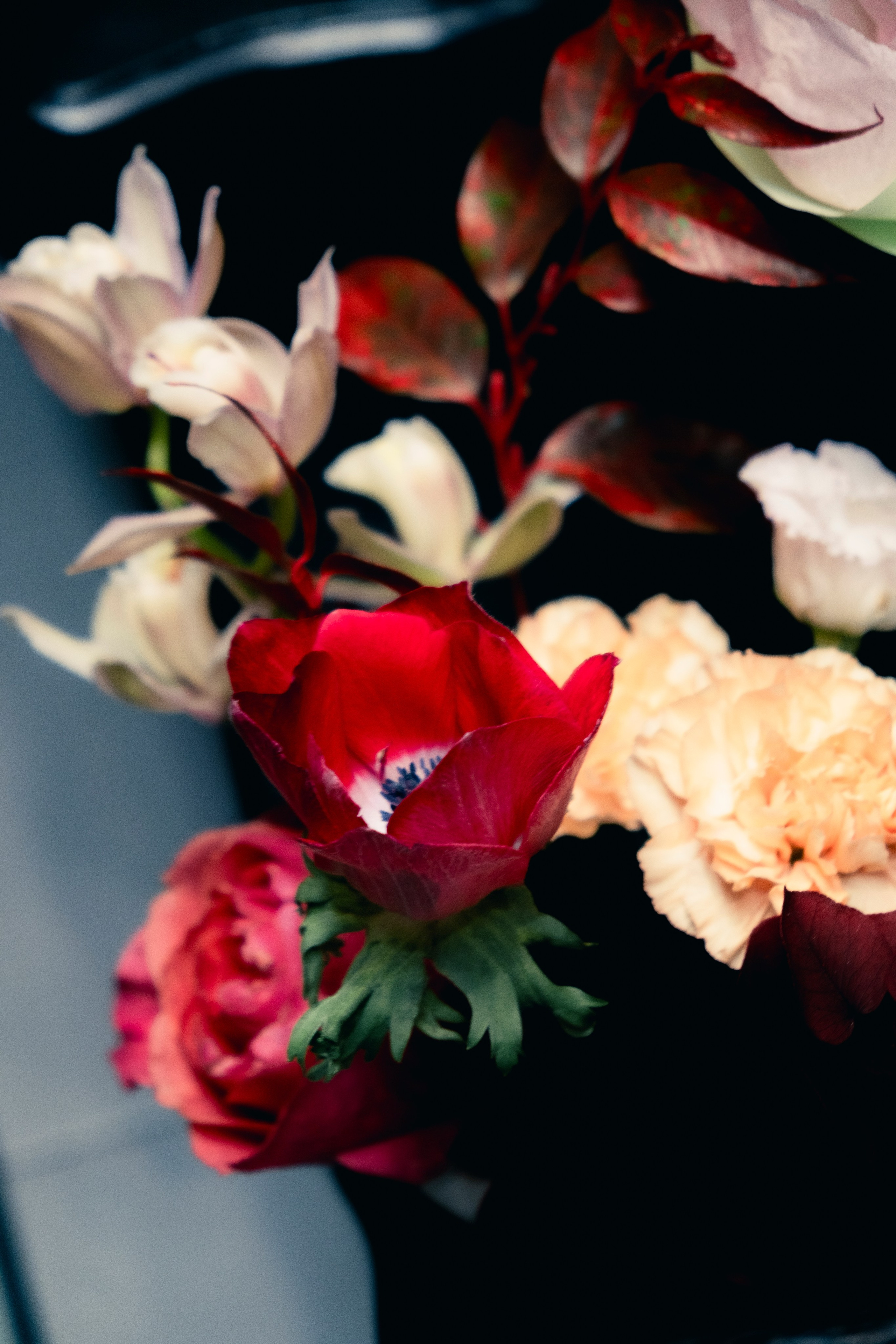 Контент-съемка. Портретный и fashion-фотограф в Санкт-Петербурге Олеся Поле