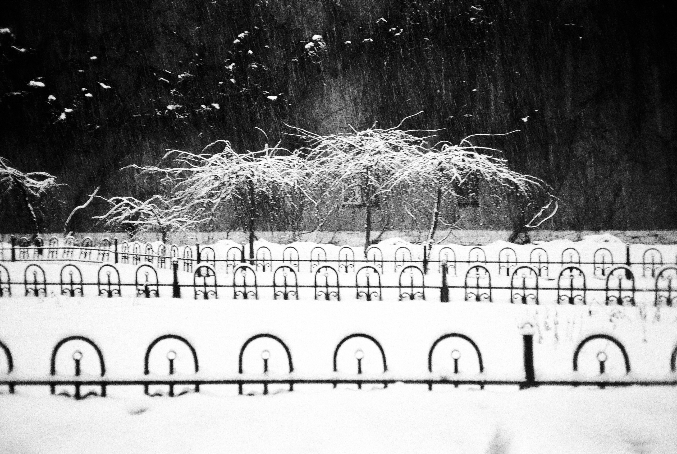 Фотографии черно-белые. Свадебный и семейный пленочный фотограф в Петербурге Истомина Ирина