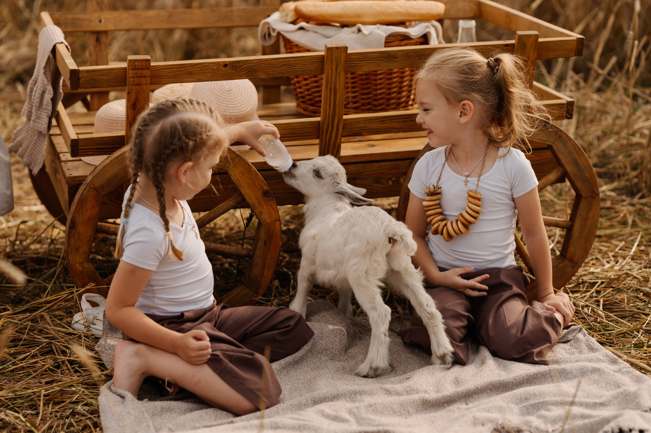Девочки с козленком. СВАДЕБНЫЙ ФОТОГРАФ КРАСНОЯРСК