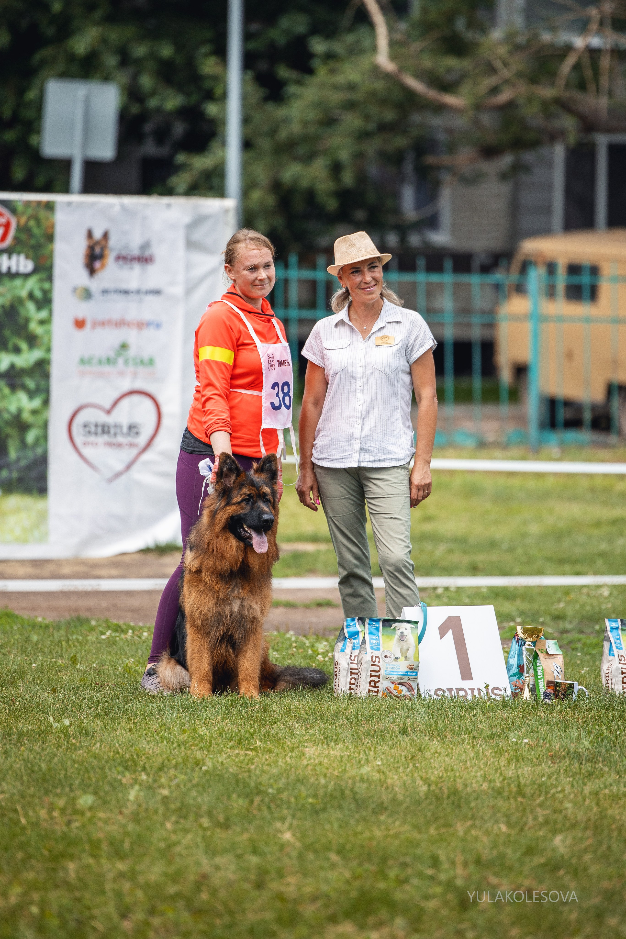 6.07.2024 Выставка немецких овчарок г. Тюмень. YULA KOLESOVA | Фотограф — Анималист | Художник | Тюмень